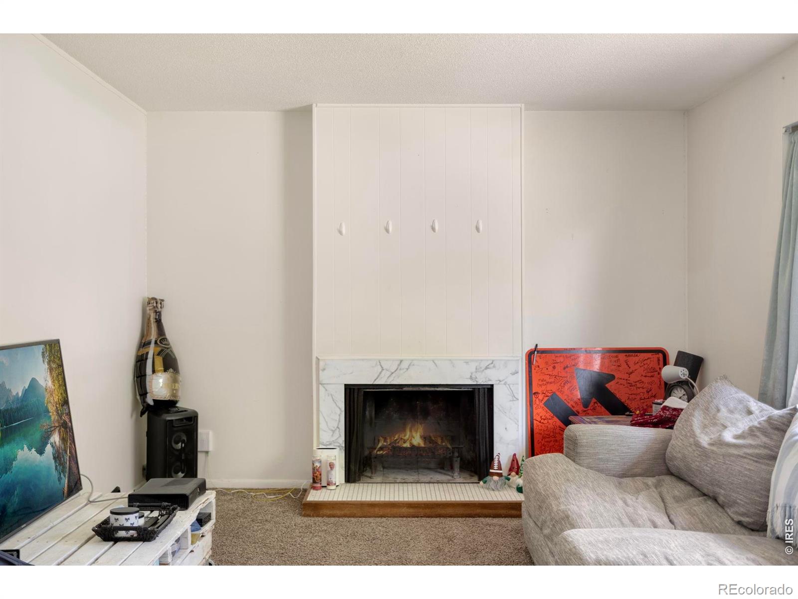 MLS Image #10 for 1201 s bryan avenue,fort collins, Colorado