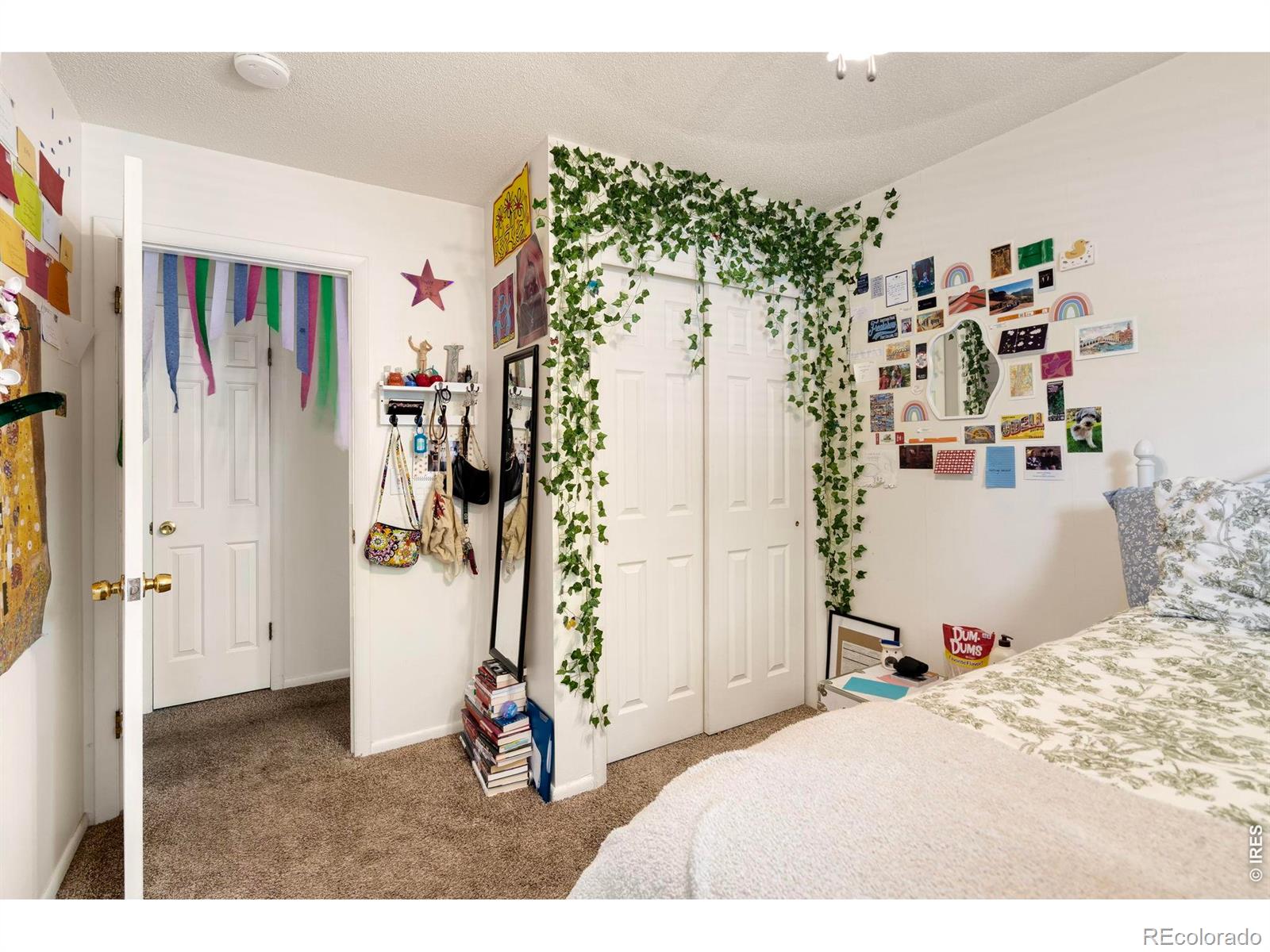 MLS Image #18 for 1201 s bryan avenue,fort collins, Colorado