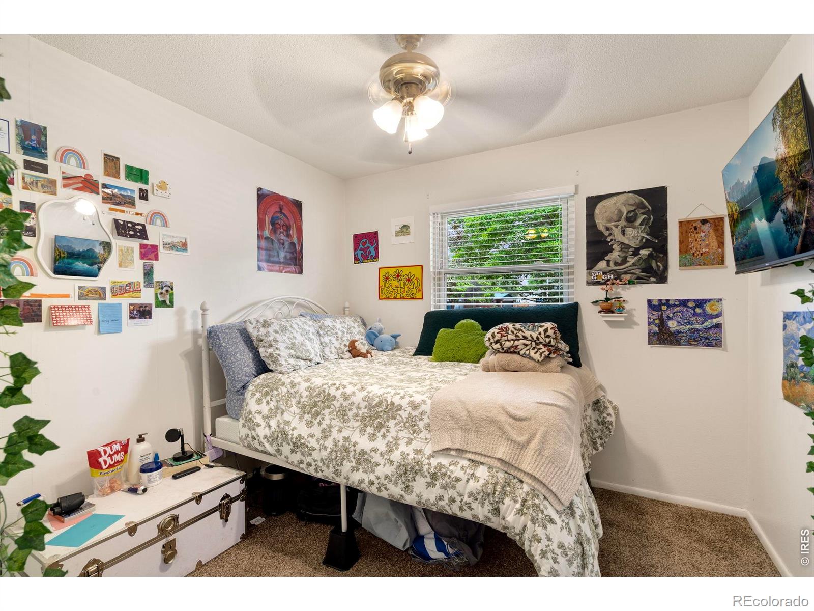MLS Image #19 for 1201 s bryan avenue,fort collins, Colorado
