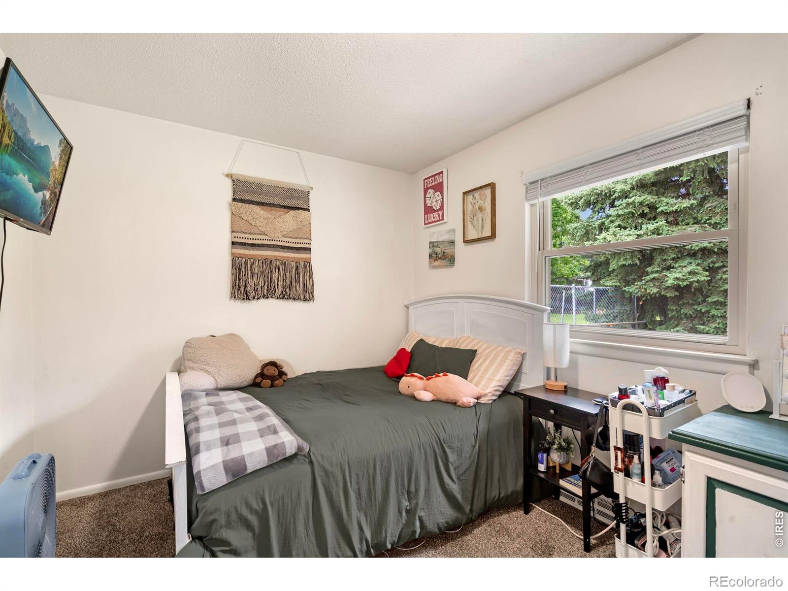 MLS Image #20 for 1201 s bryan avenue,fort collins, Colorado