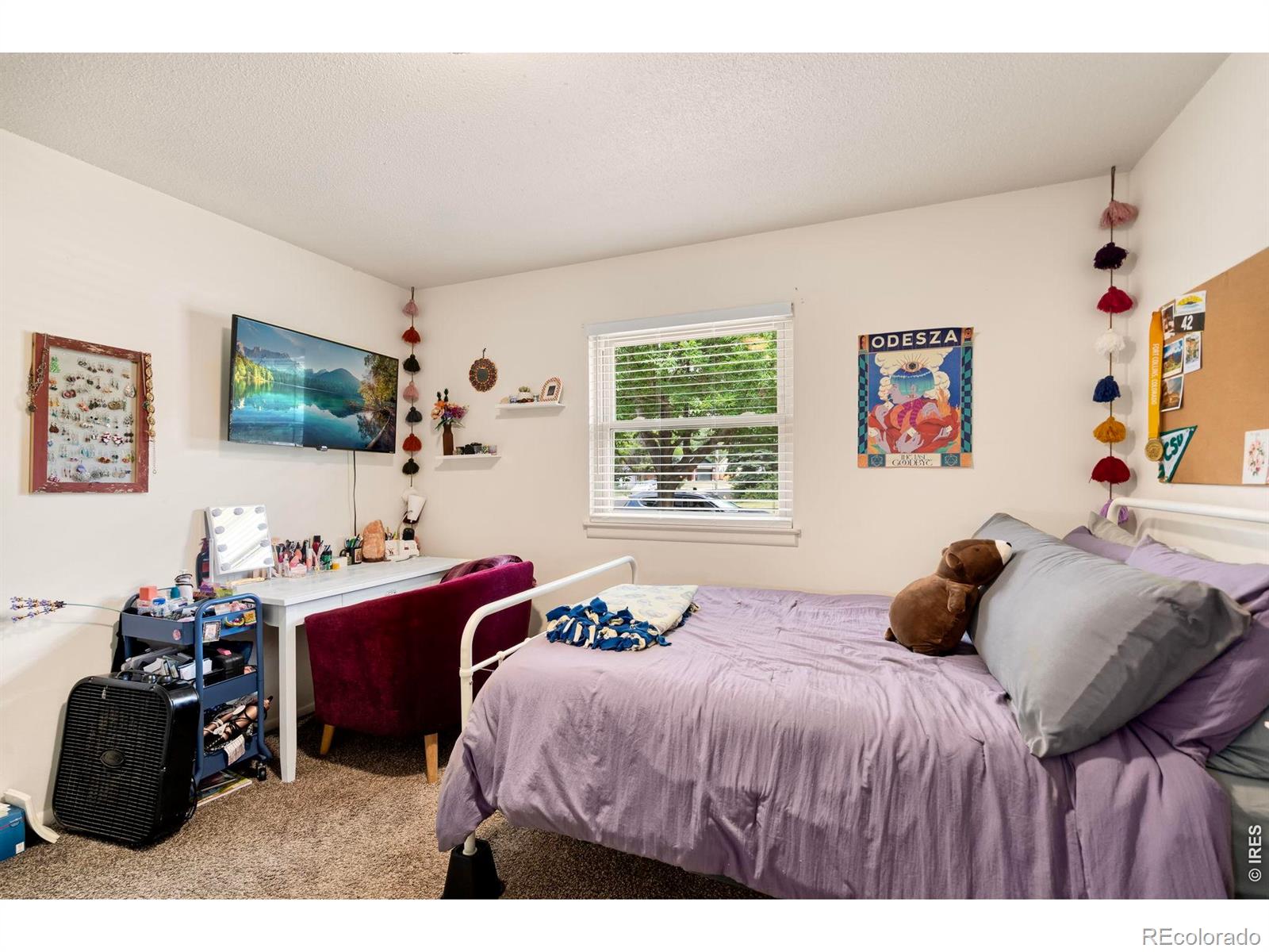 MLS Image #25 for 1201 s bryan avenue,fort collins, Colorado
