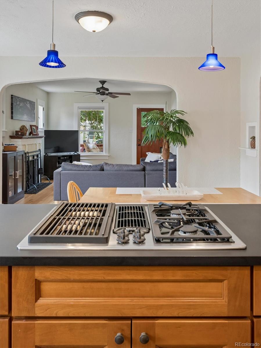 MLS Image #22 for 2340 s franklin street,denver, Colorado