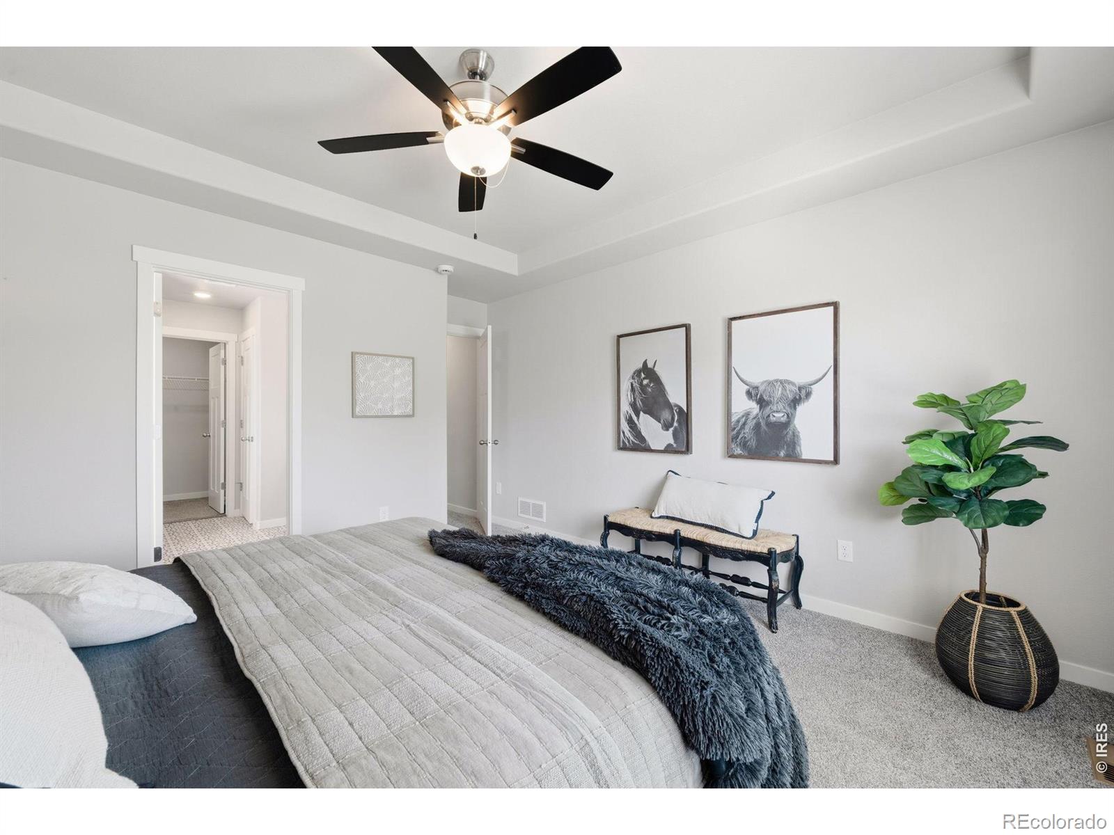 MLS Image #14 for 214  dorothy drive,berthoud, Colorado
