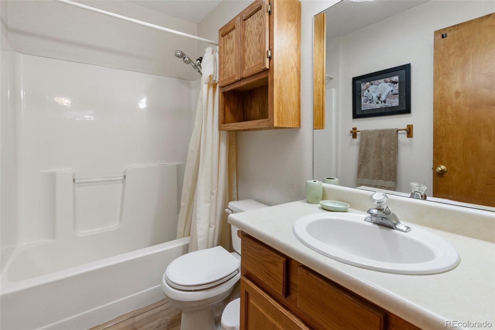 MLS Image #10 for 251  surrey lane,florissant, Colorado