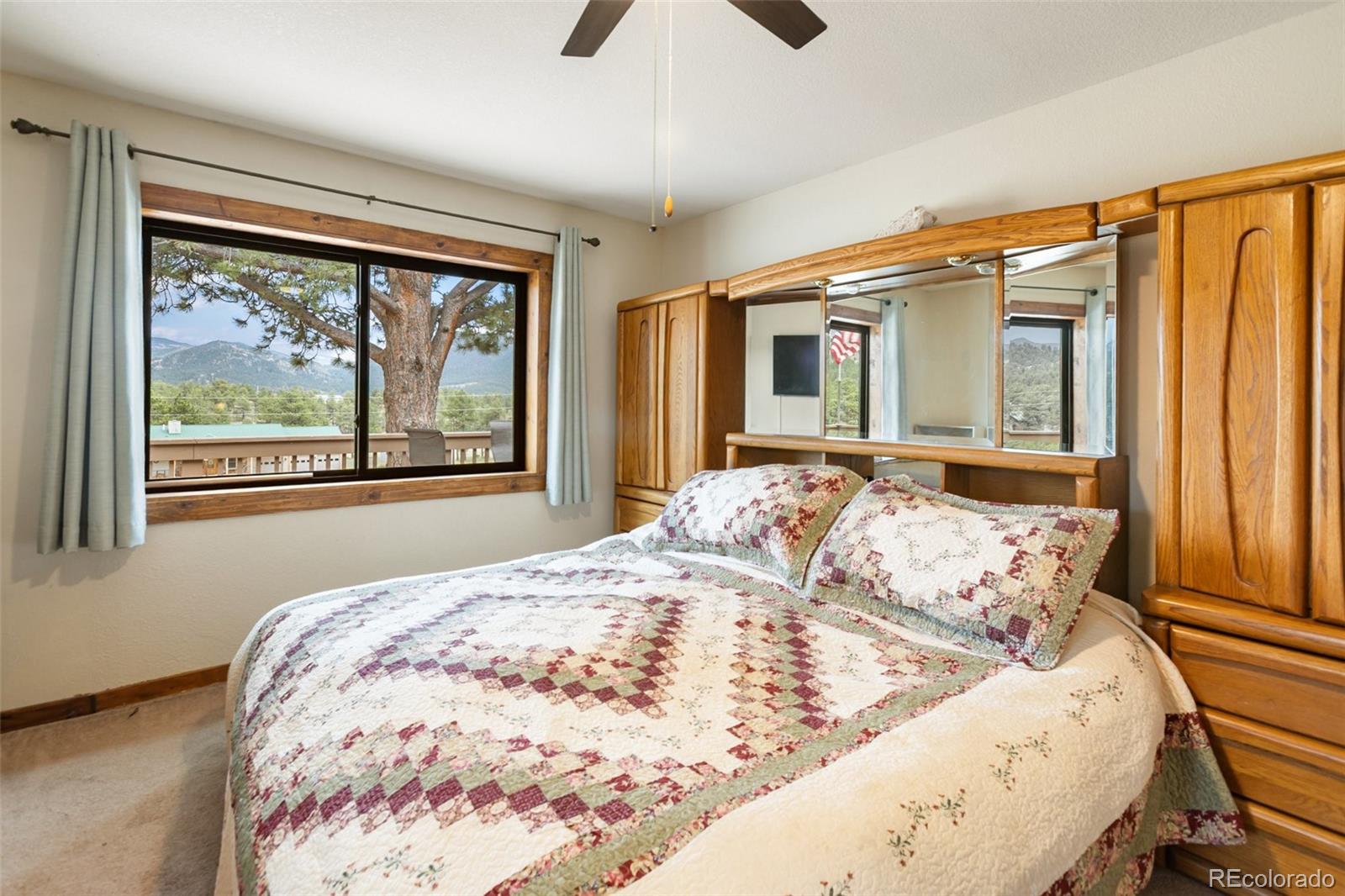 MLS Image #11 for 251  surrey lane,florissant, Colorado