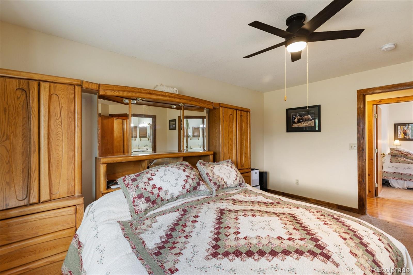 MLS Image #12 for 251  surrey lane,florissant, Colorado