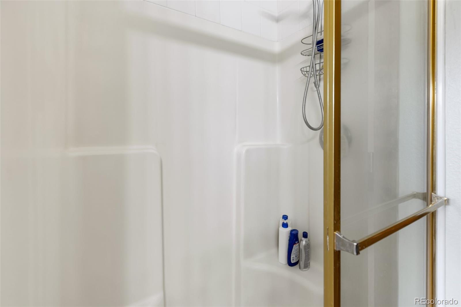 MLS Image #14 for 251  surrey lane,florissant, Colorado