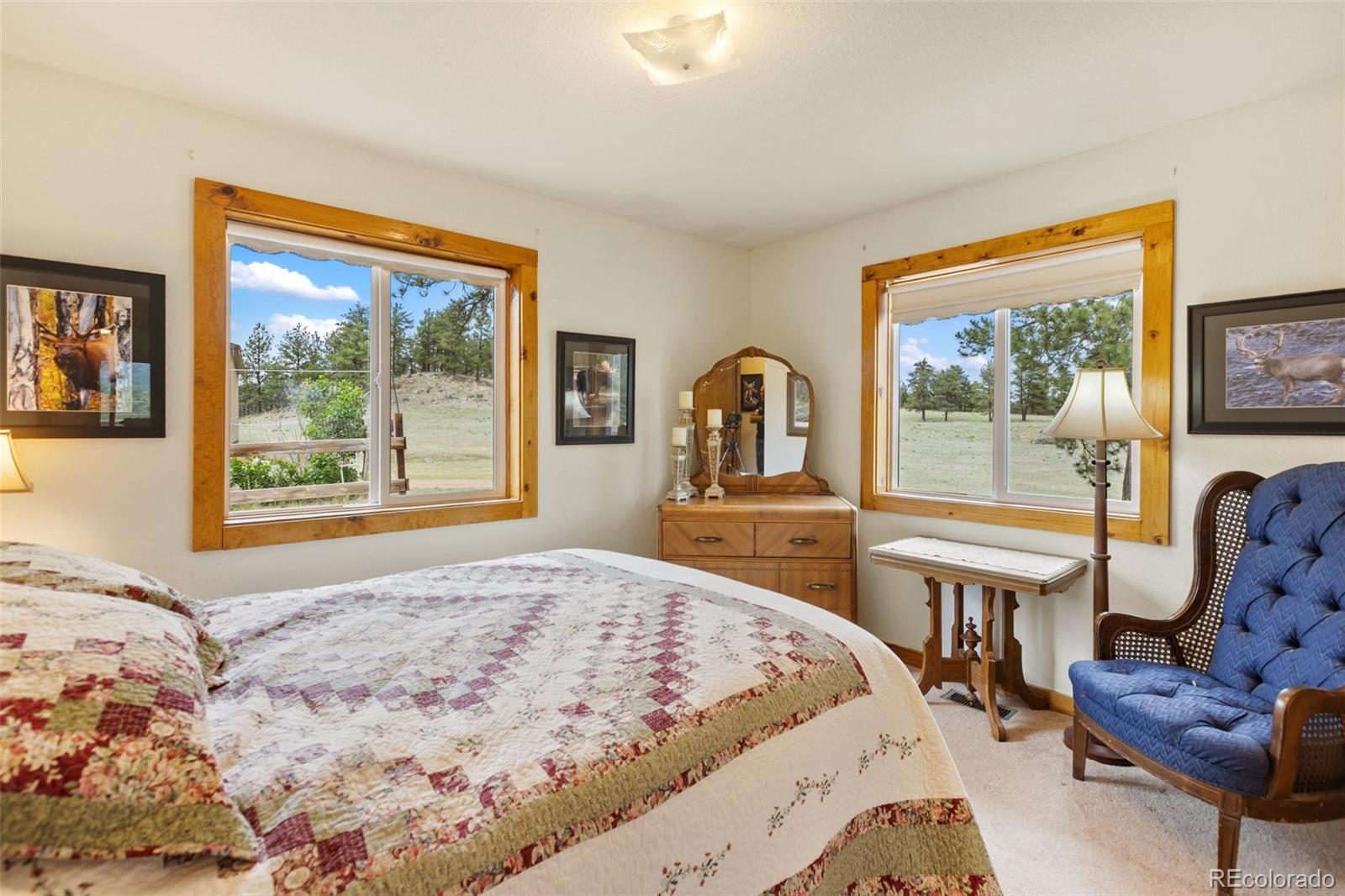 MLS Image #15 for 251  surrey lane,florissant, Colorado