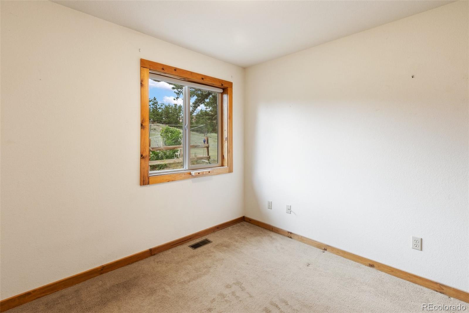 MLS Image #17 for 251  surrey lane,florissant, Colorado