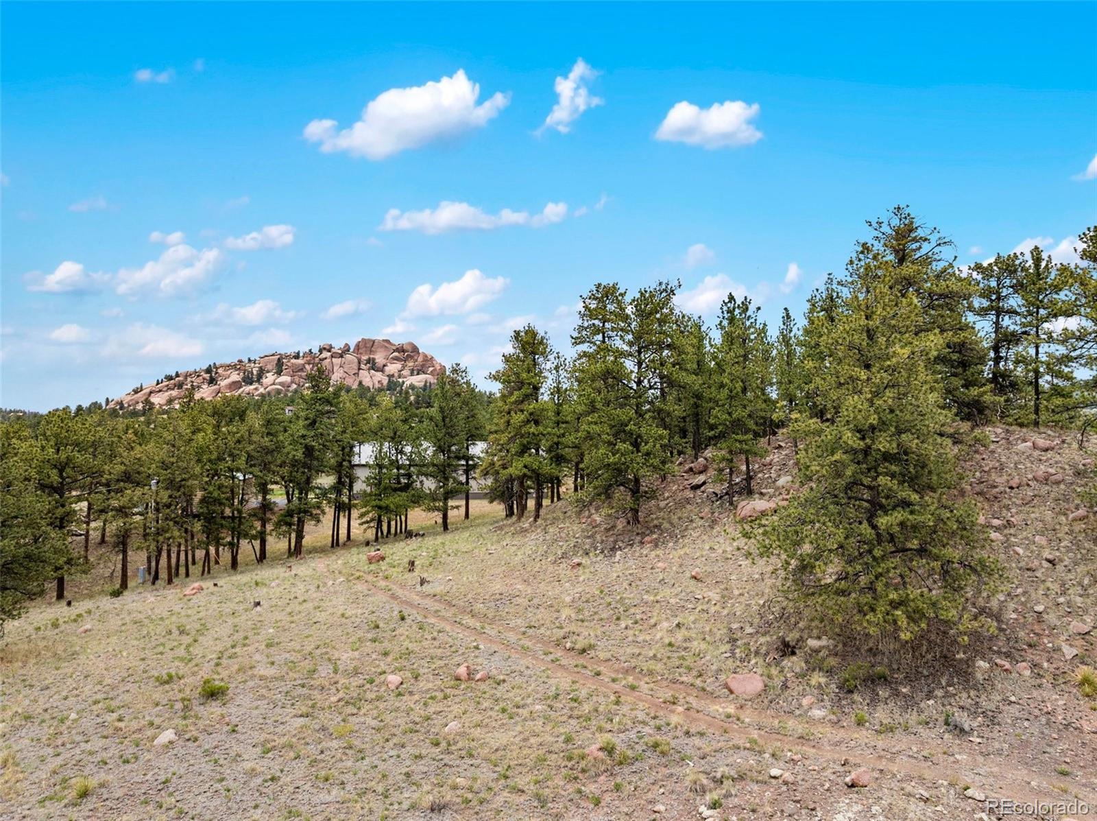 MLS Image #28 for 251  surrey lane,florissant, Colorado