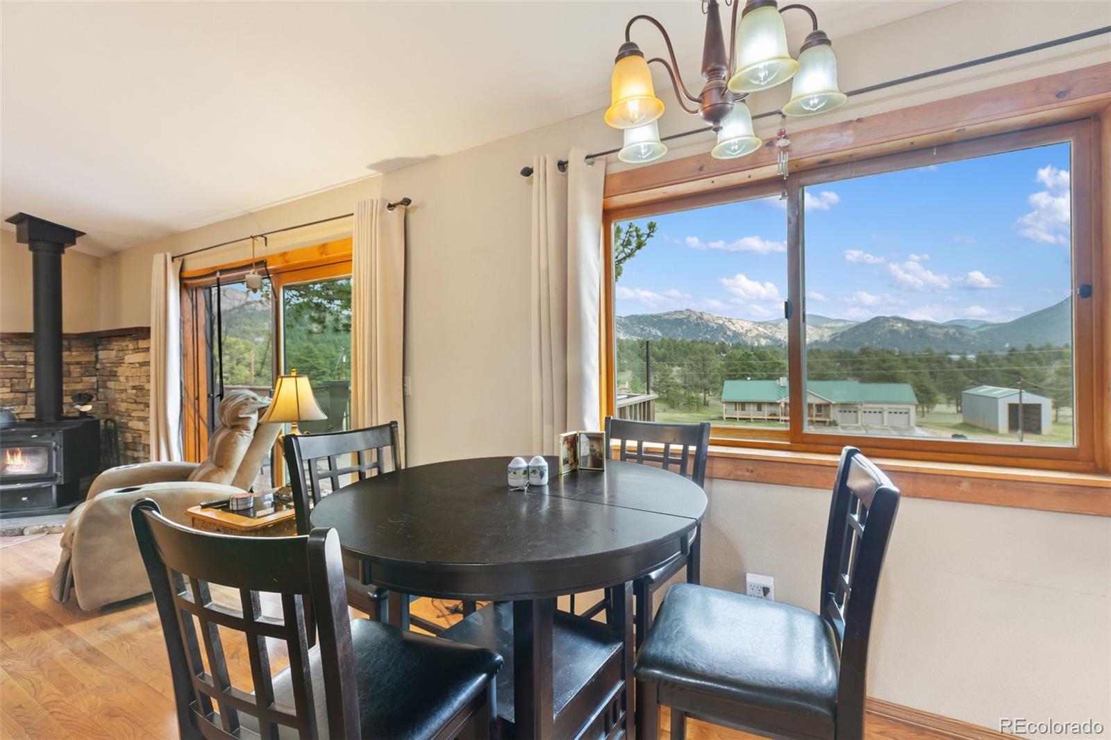 MLS Image #7 for 251  surrey lane,florissant, Colorado