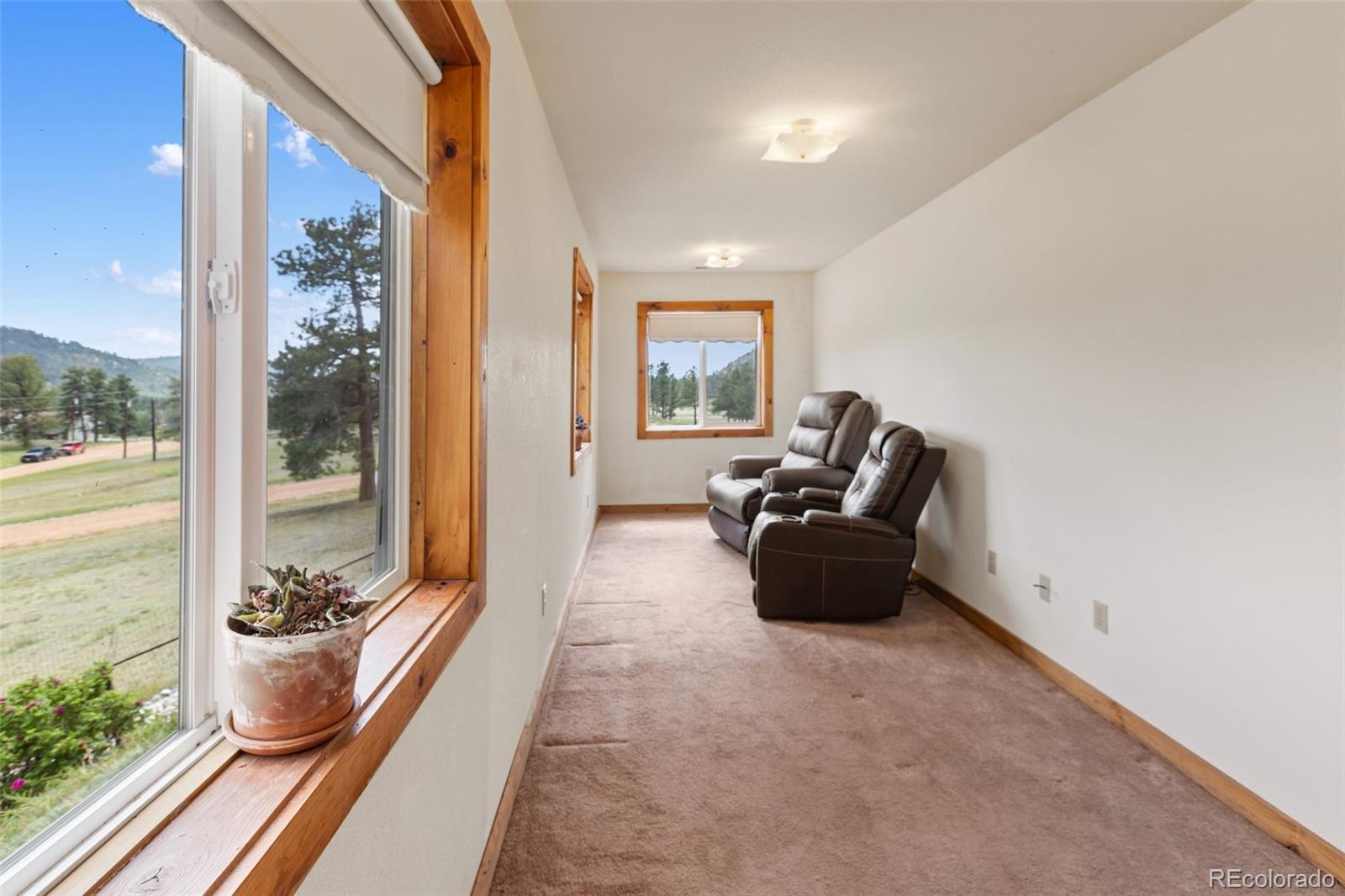 MLS Image #8 for 251  surrey lane,florissant, Colorado