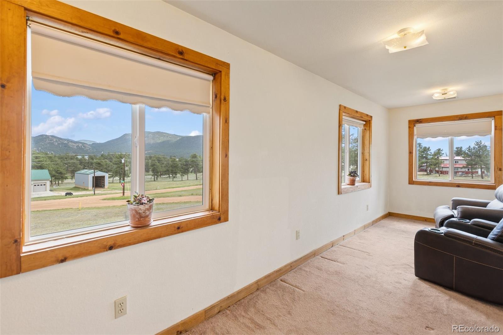 MLS Image #9 for 251  surrey lane,florissant, Colorado