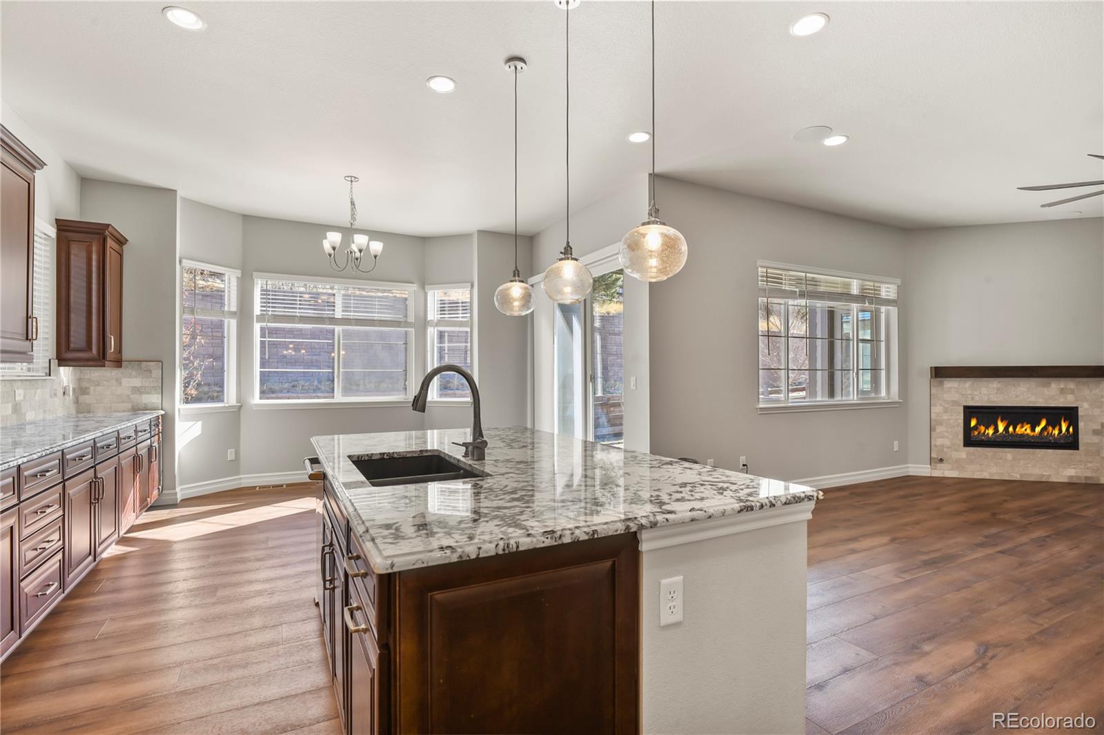 MLS Image #13 for 12938  bridge view lane,parker, Colorado