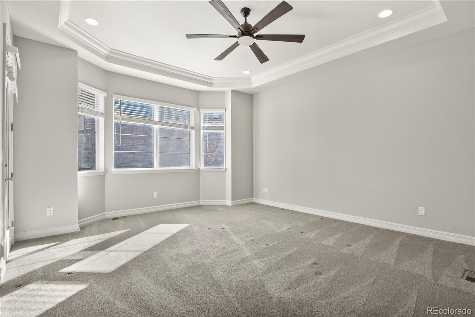MLS Image #16 for 12938  bridge view lane,parker, Colorado