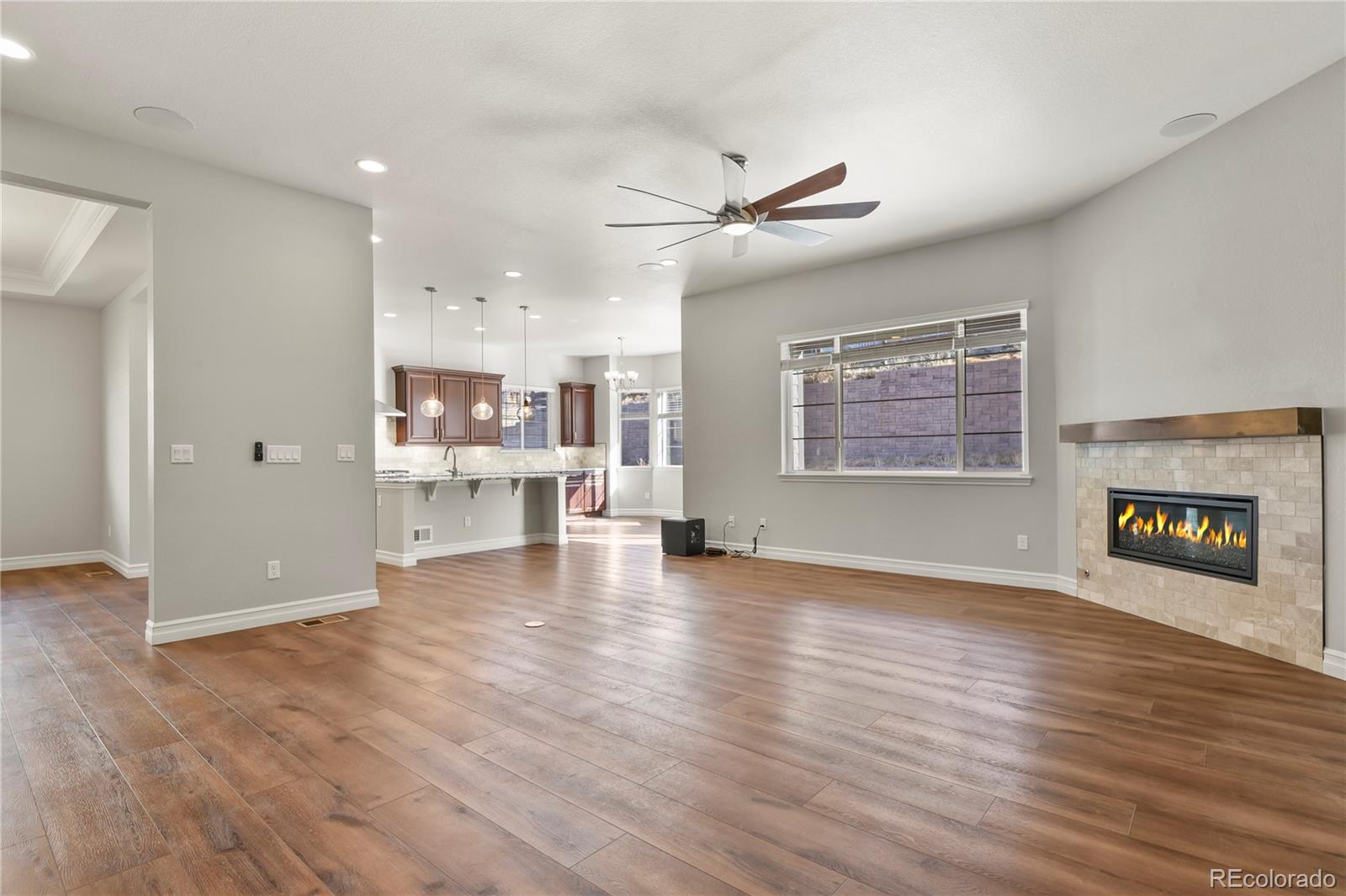 MLS Image #3 for 12938  bridge view lane,parker, Colorado