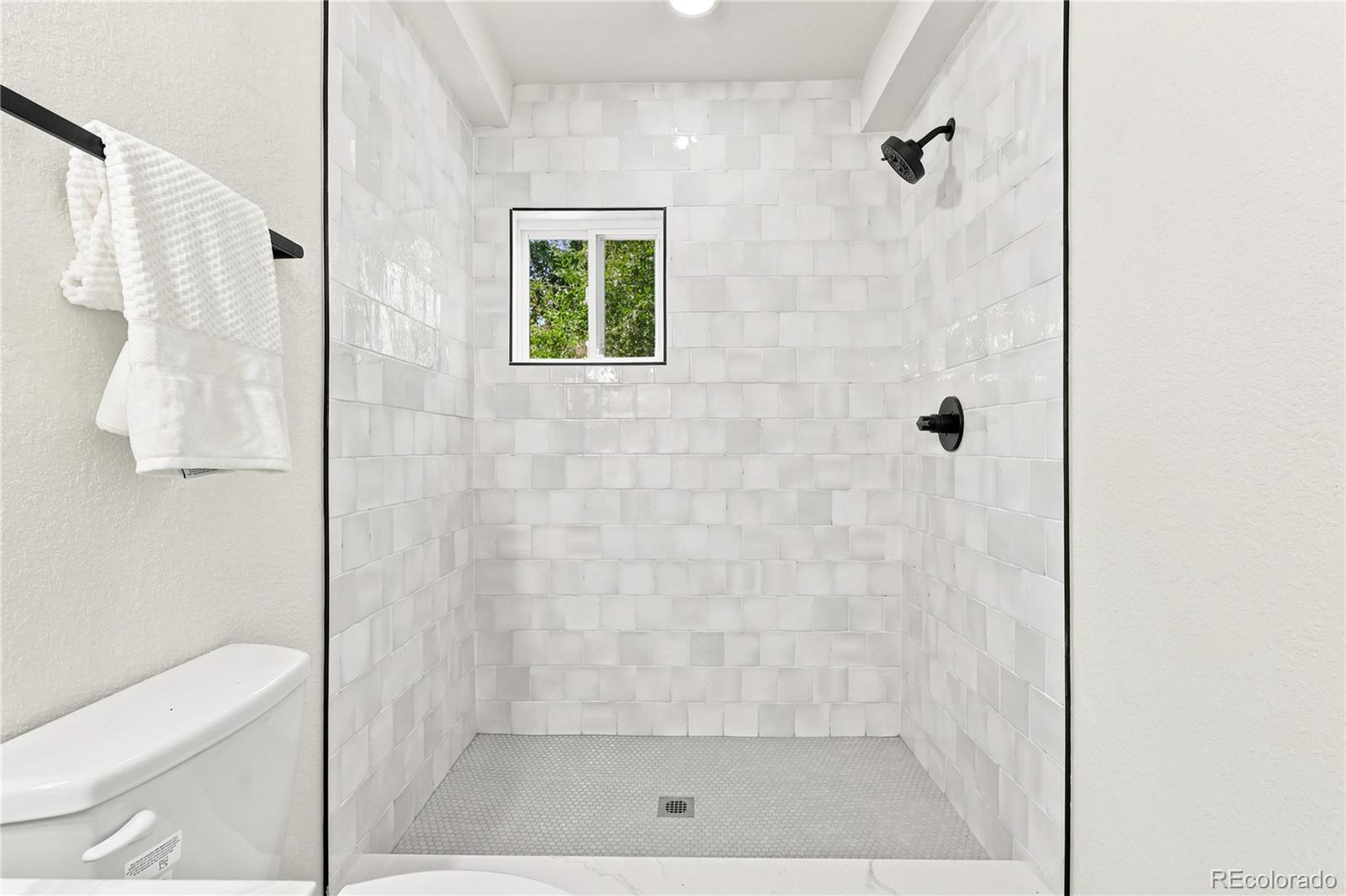 MLS Image #30 for 2055 s williams street,denver, Colorado