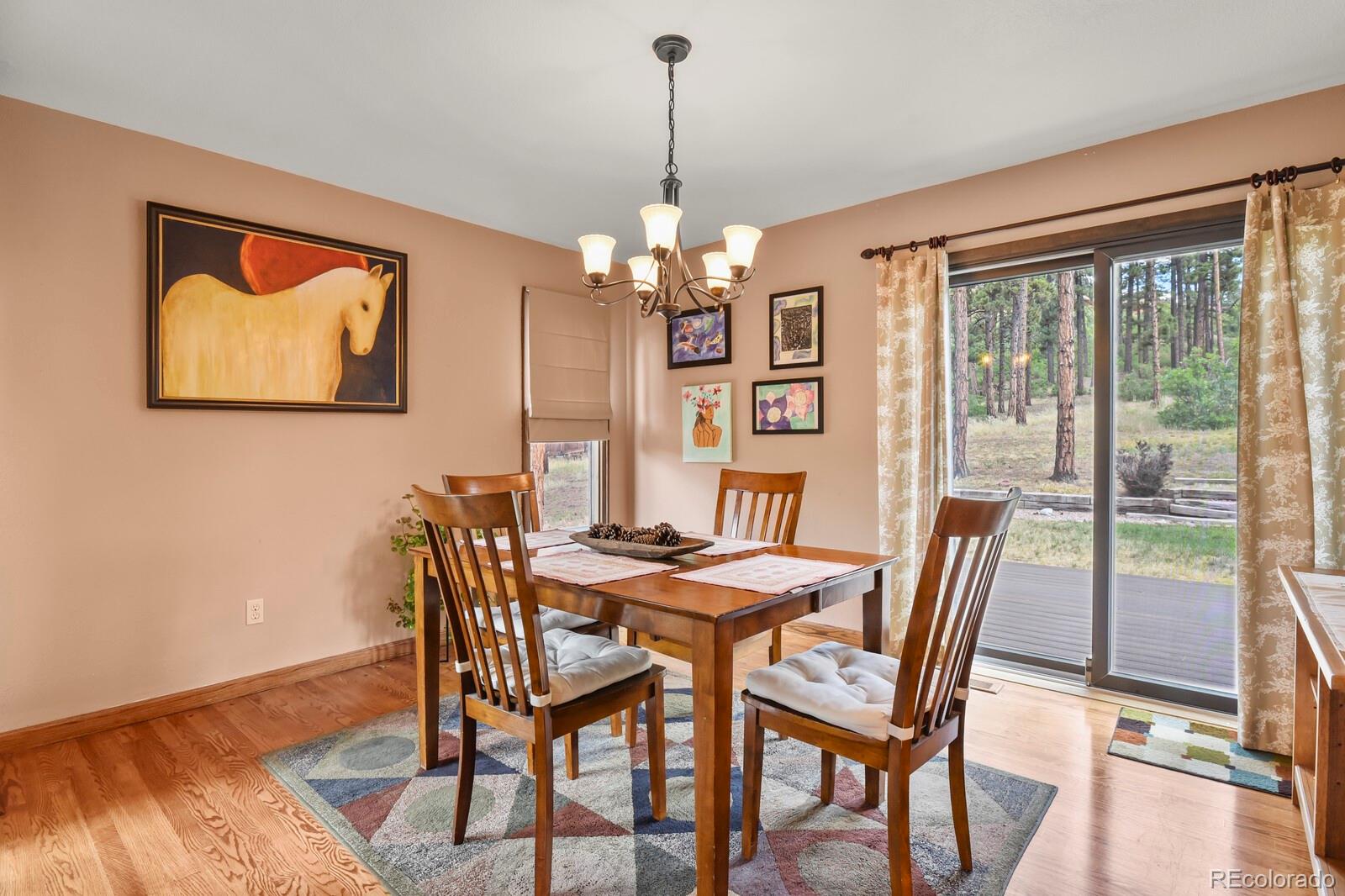MLS Image #8 for 4751  red rock drive,larkspur, Colorado
