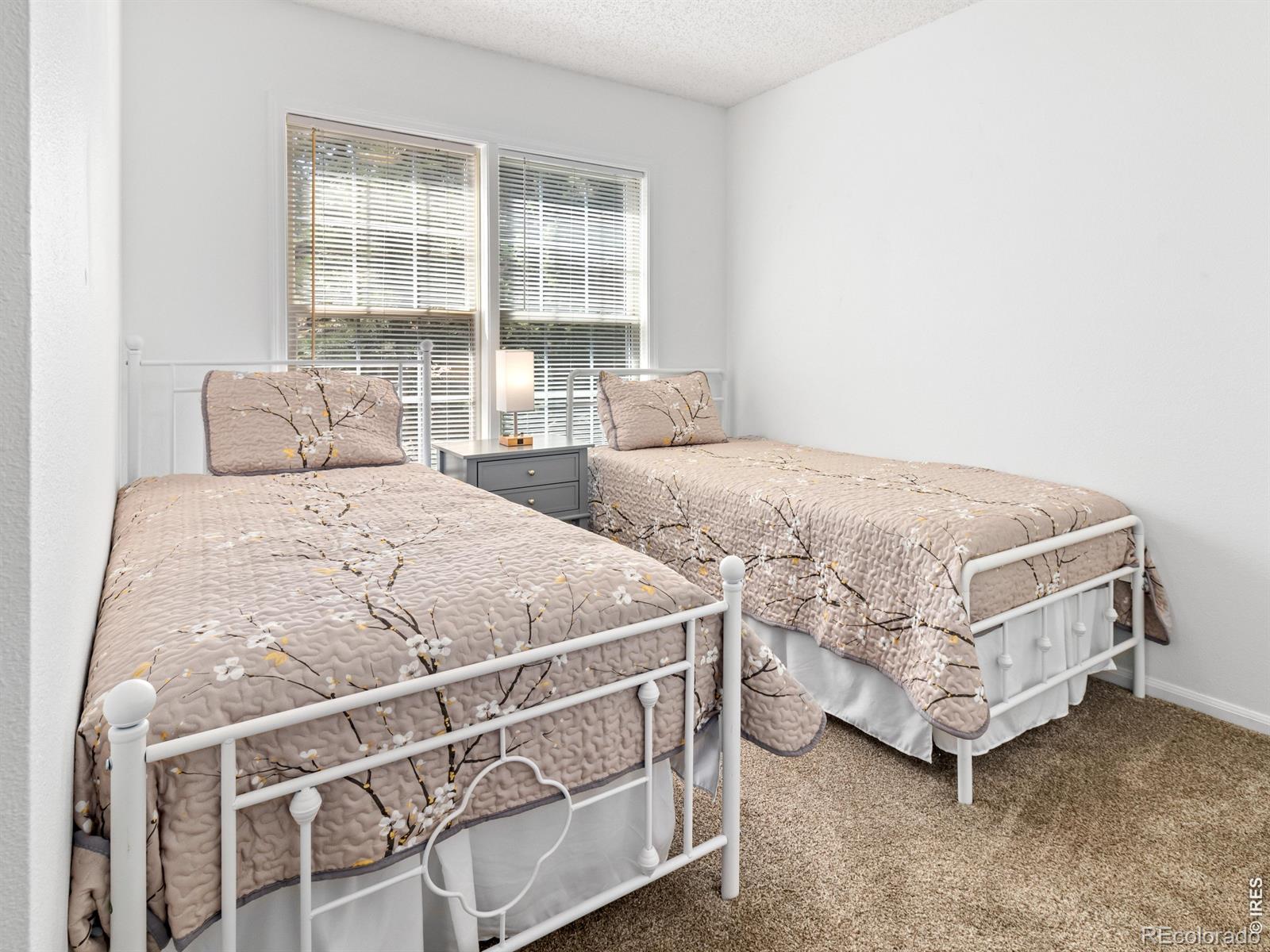 MLS Image #17 for 2709  sunrise court,estes park, Colorado