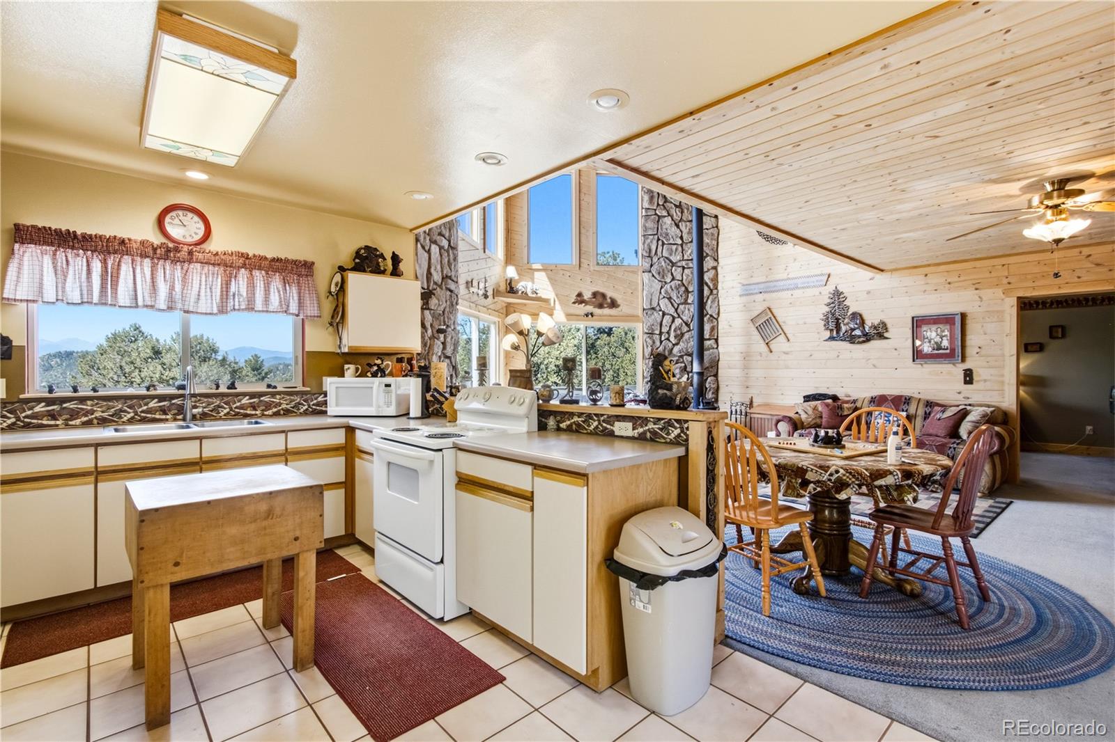 MLS Image #10 for 759  red feather road,cotopaxi, Colorado