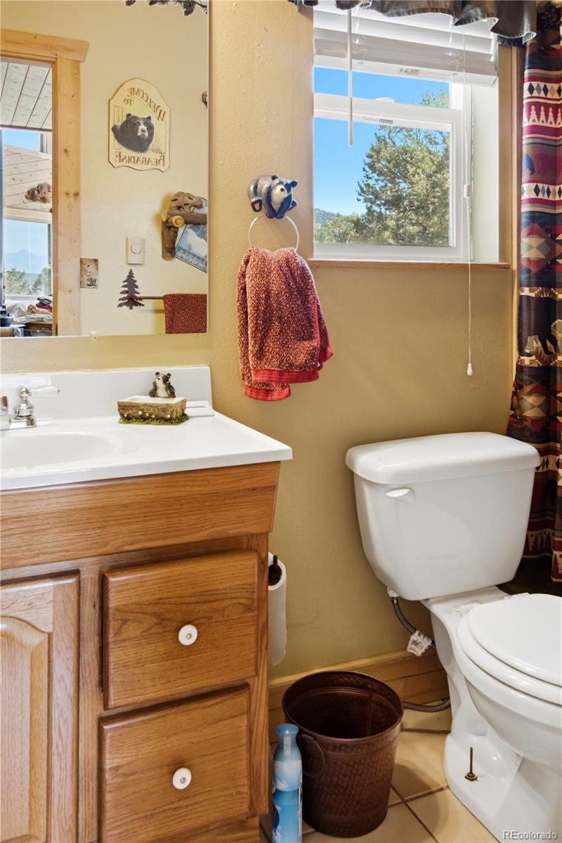 MLS Image #13 for 759  red feather road,cotopaxi, Colorado
