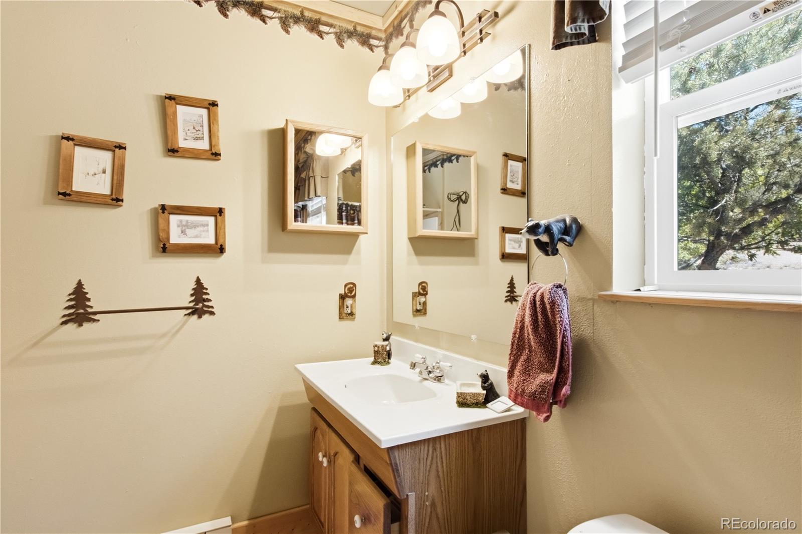 MLS Image #14 for 759  red feather road,cotopaxi, Colorado