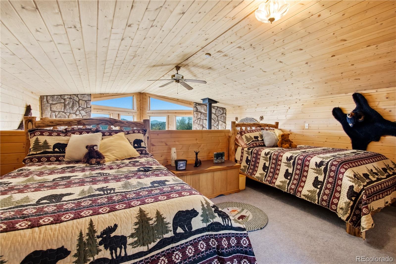 MLS Image #18 for 759  red feather road,cotopaxi, Colorado