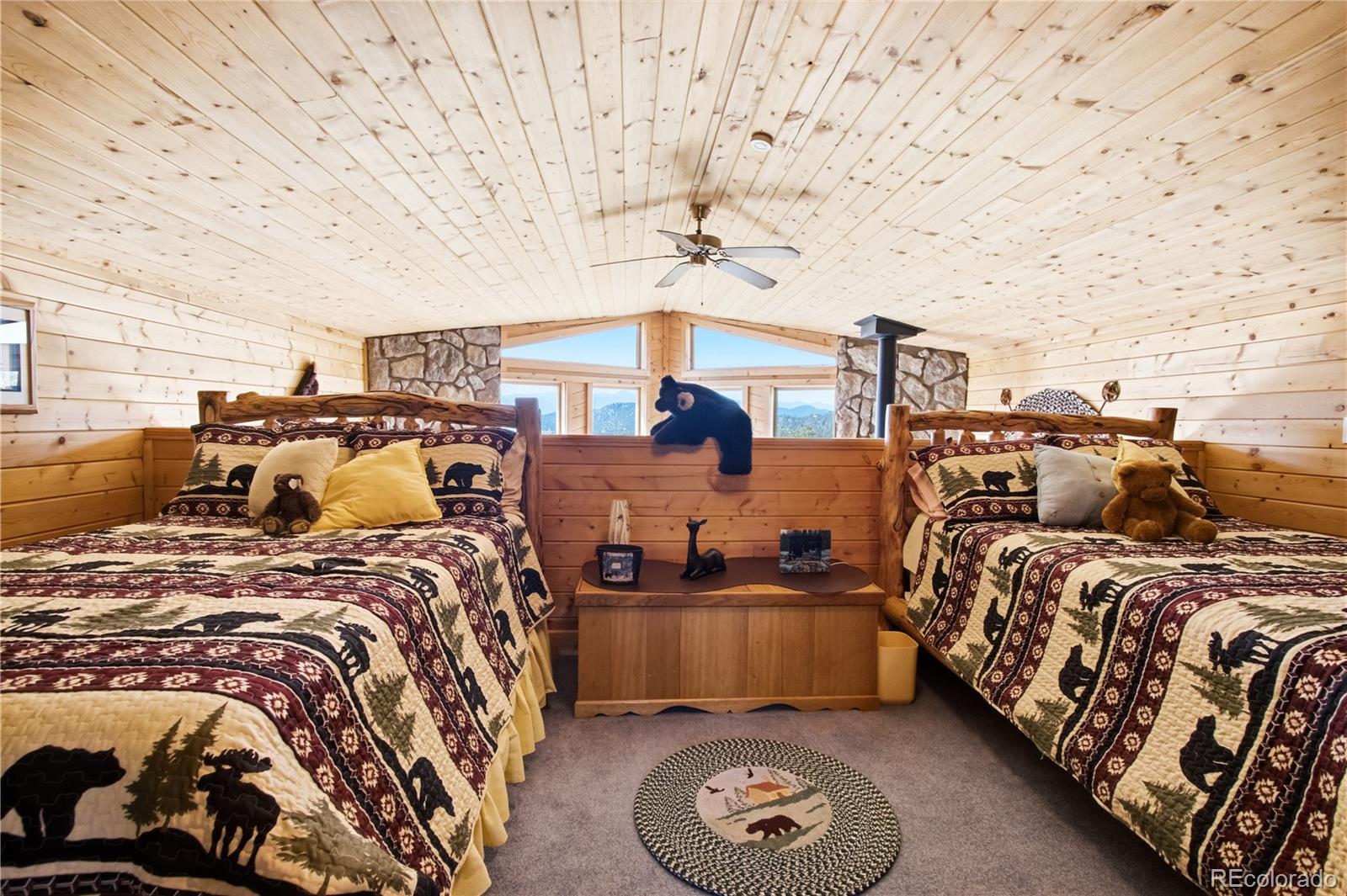 MLS Image #19 for 759  red feather road,cotopaxi, Colorado