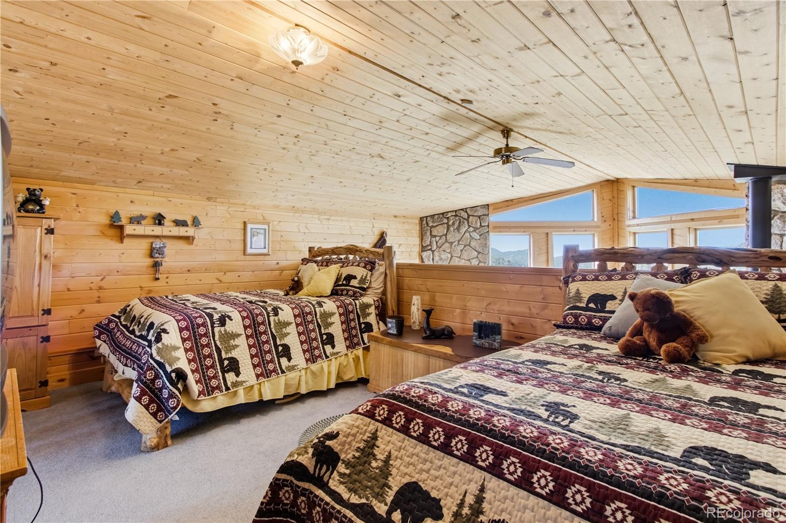 MLS Image #20 for 759  red feather road,cotopaxi, Colorado