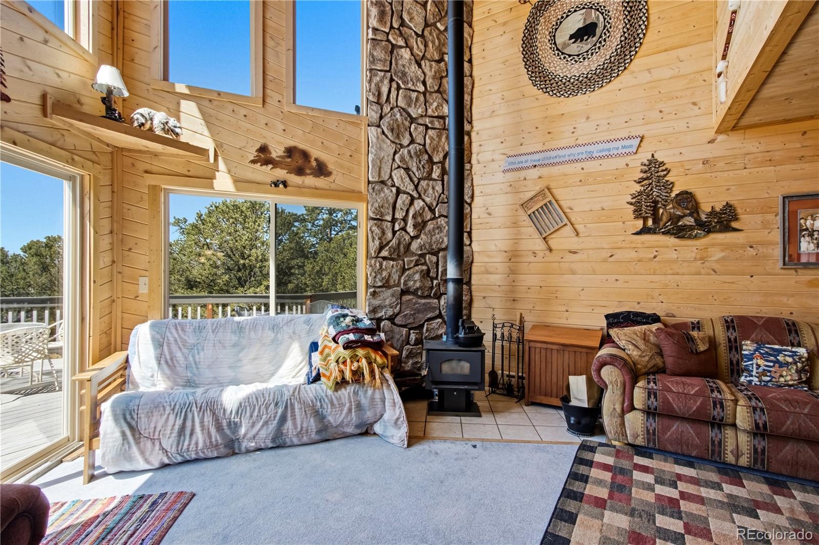 MLS Image #6 for 759  red feather road,cotopaxi, Colorado