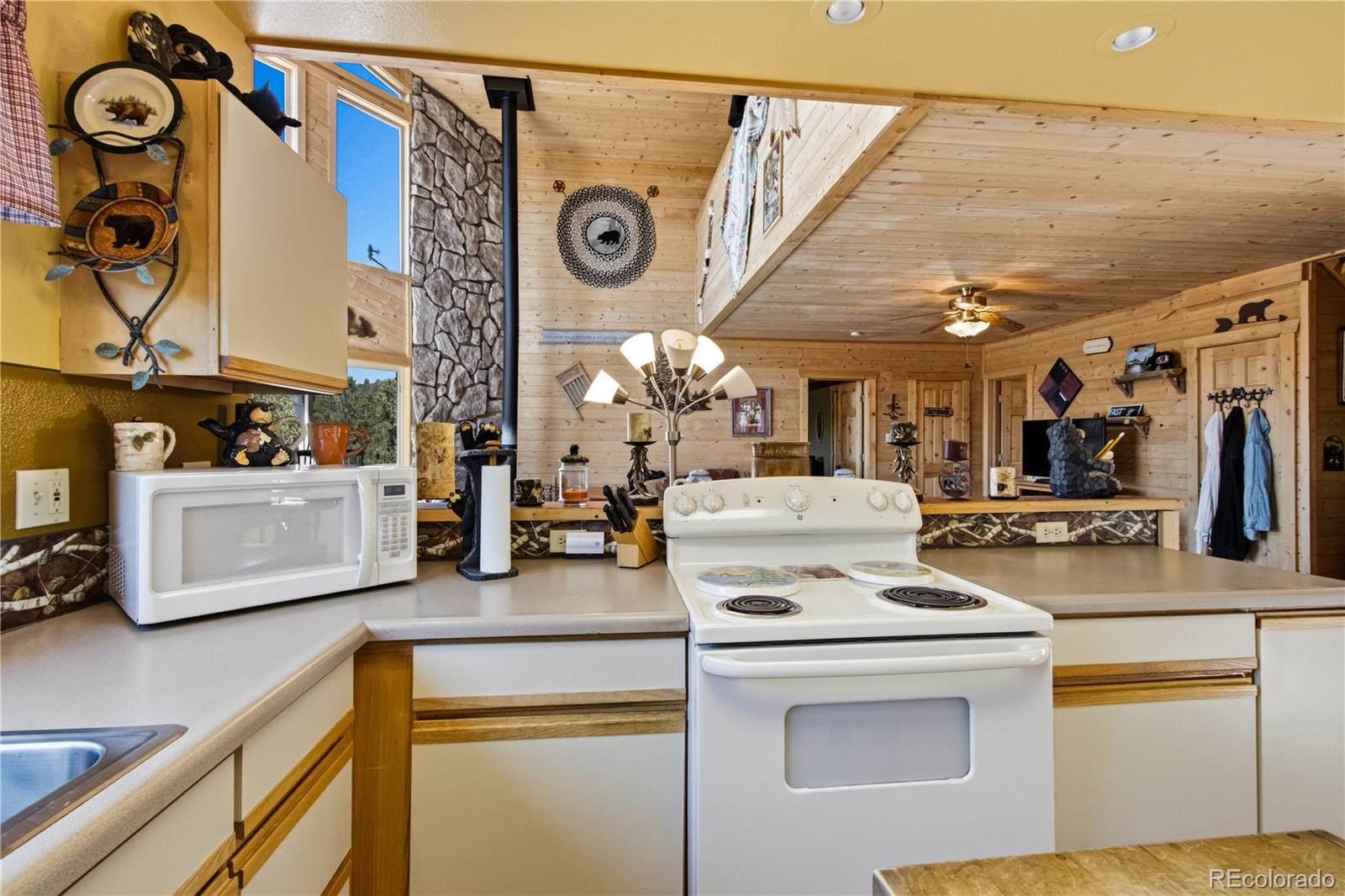 MLS Image #8 for 759  red feather road,cotopaxi, Colorado