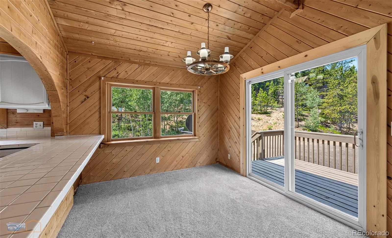 MLS Image #14 for 914 s dory lakes drive,black hawk, Colorado