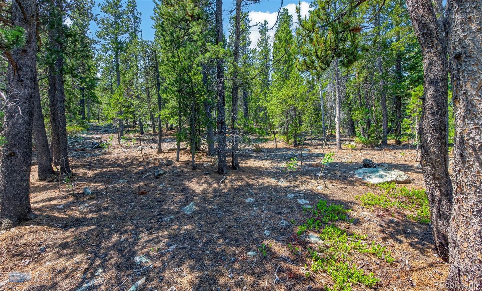 MLS Image #45 for 914 s dory lakes drive,black hawk, Colorado