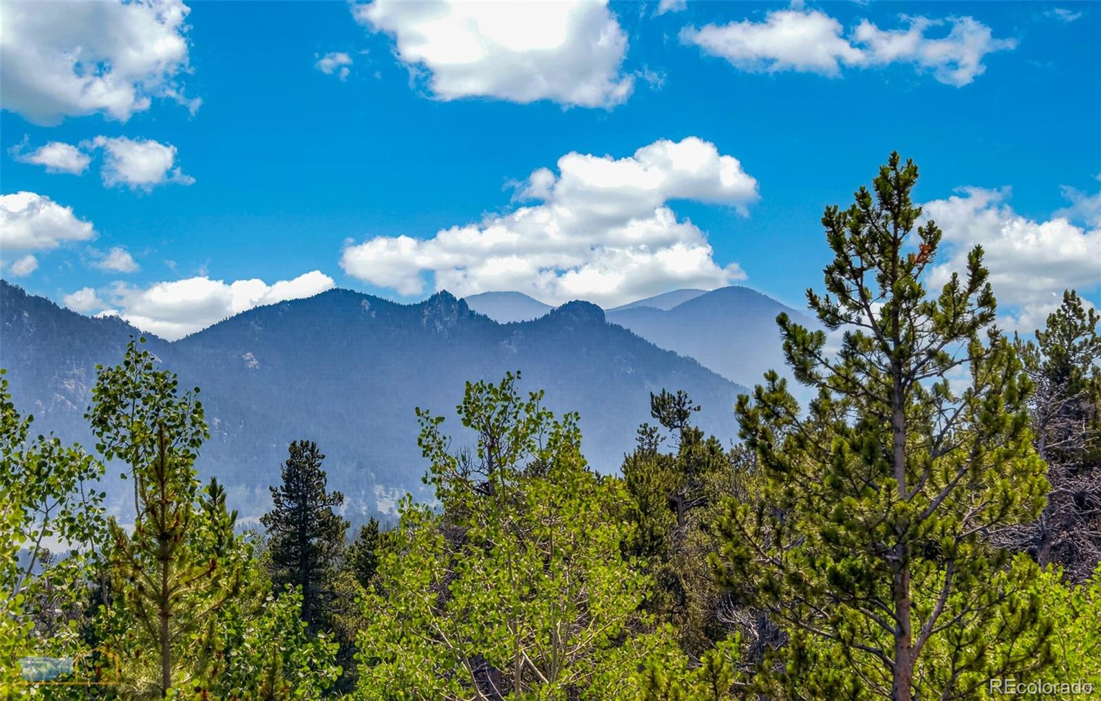 MLS Image #6 for 914 s dory lakes drive,black hawk, Colorado