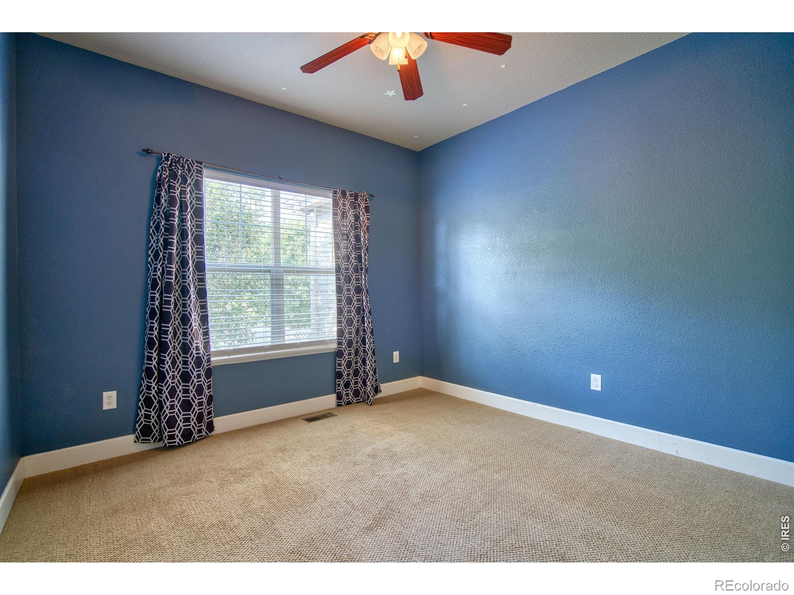MLS Image #18 for 290  clark court,windsor, Colorado