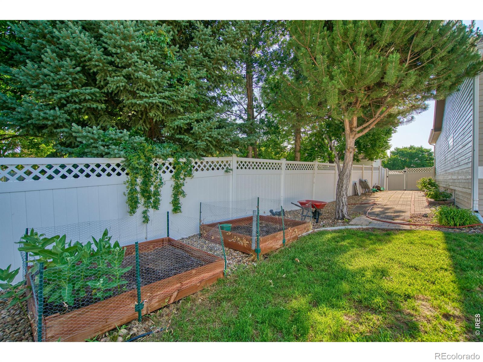 MLS Image #39 for 290  clark court,windsor, Colorado