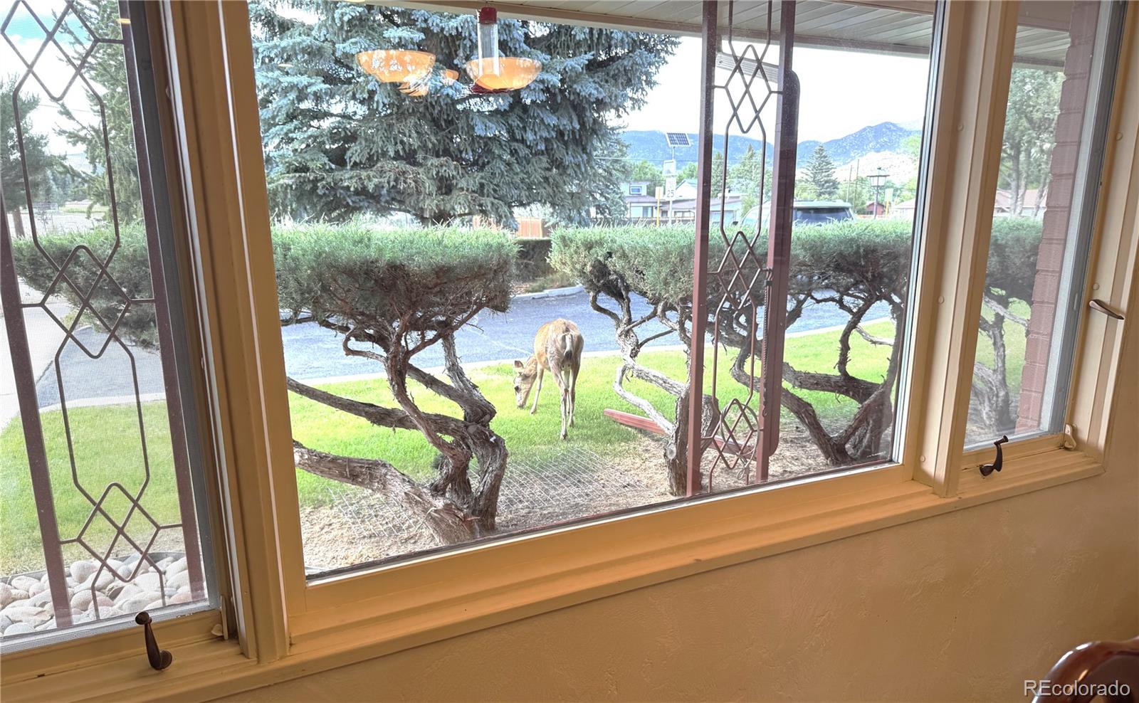MLS Image #25 for 615  poncha boulevard,salida, Colorado