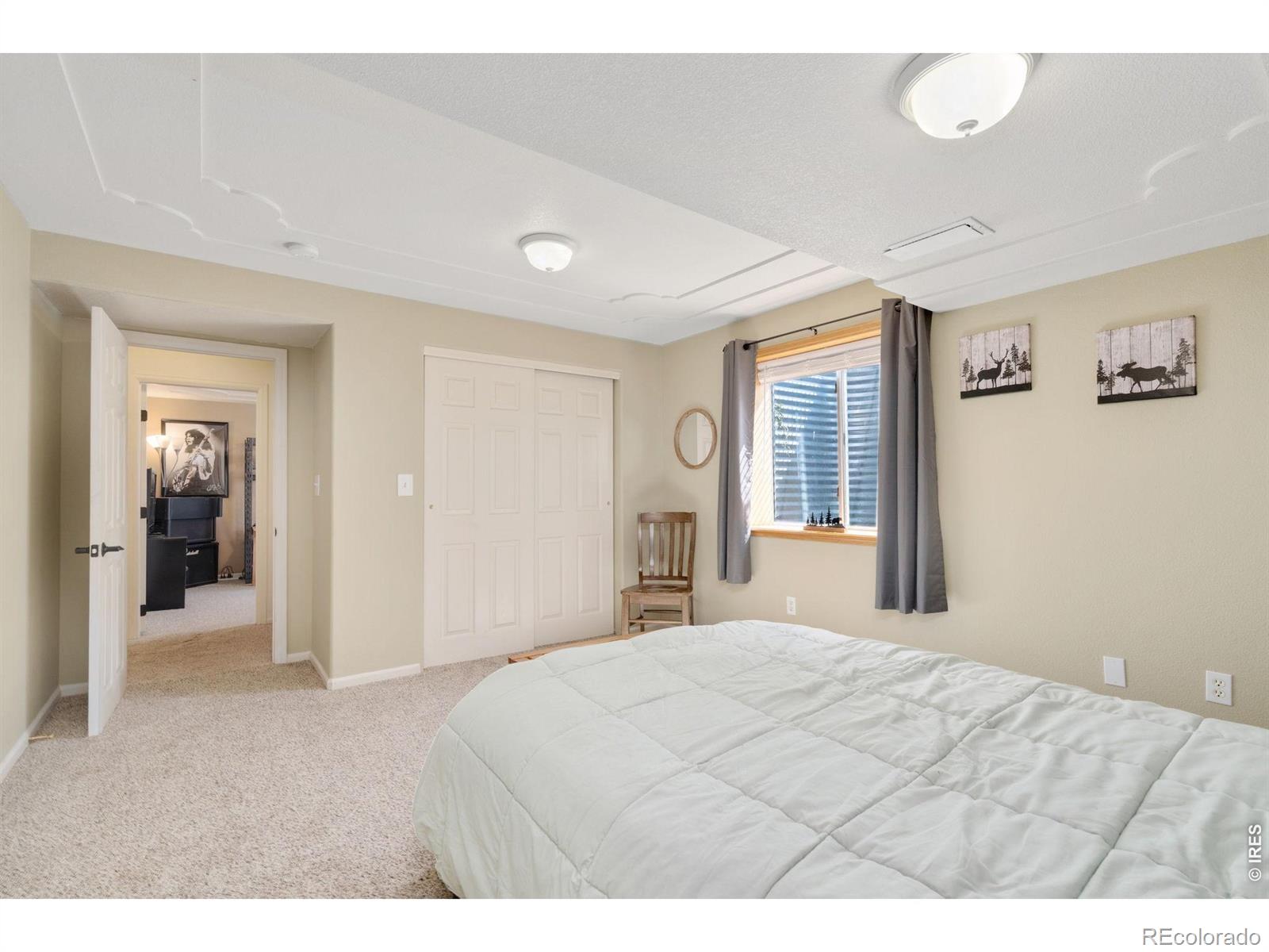 MLS Image #29 for 3405  leopard place,loveland, Colorado