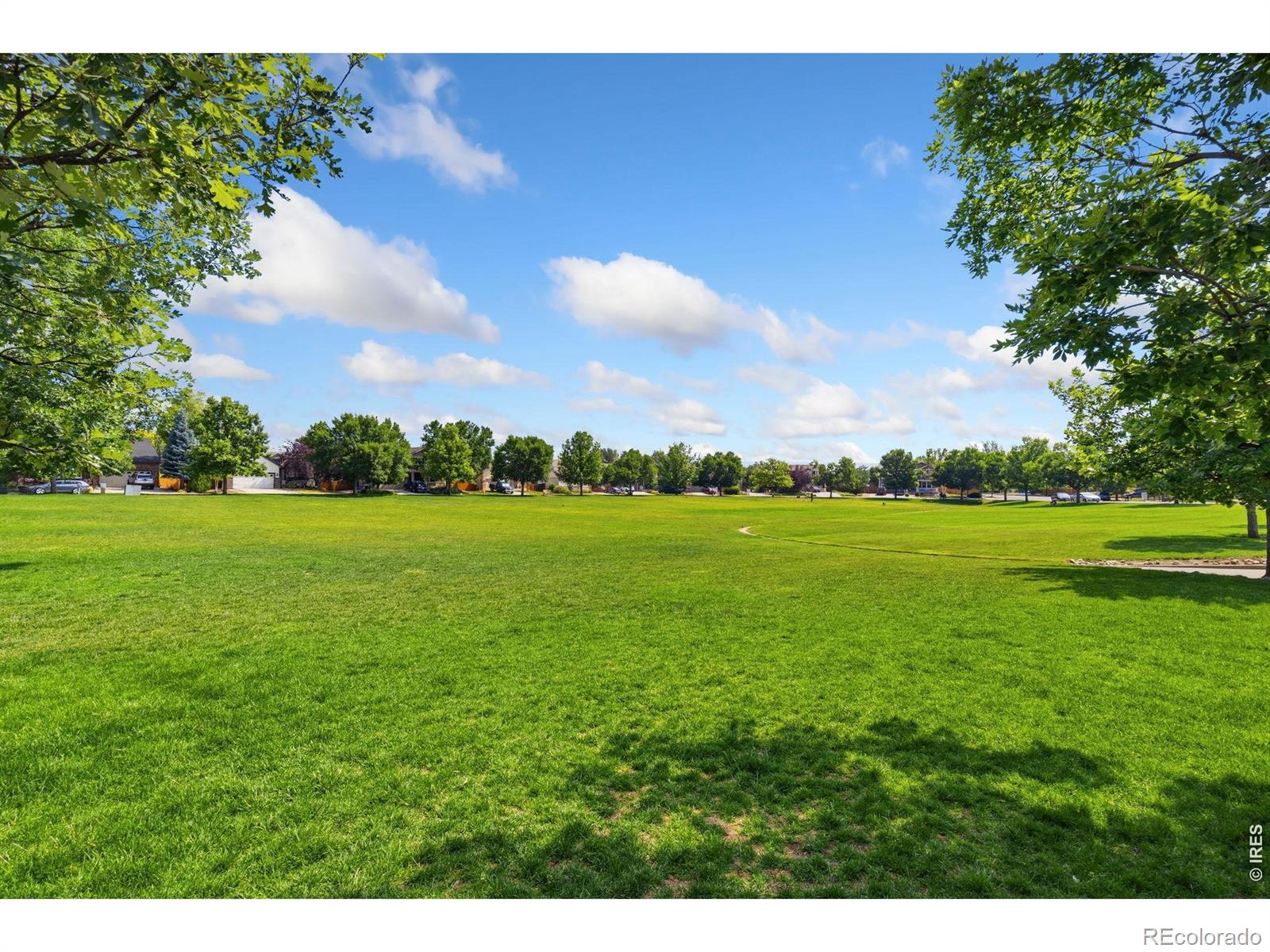 MLS Image #38 for 3405  leopard place,loveland, Colorado