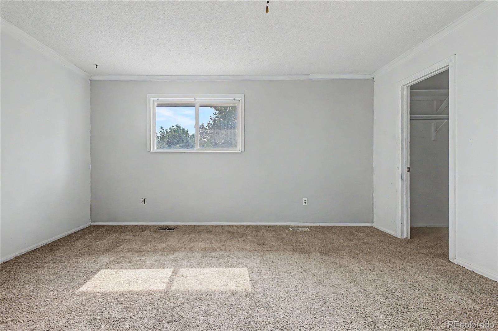 MLS Image #16 for 10015  beach street,denver, Colorado