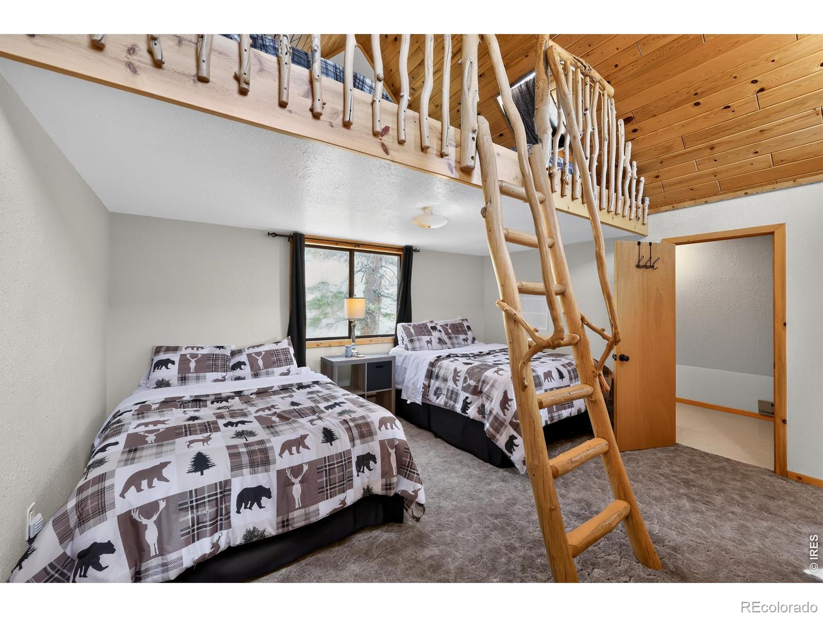 MLS Image #17 for 168  spokane court,red feather lakes, Colorado