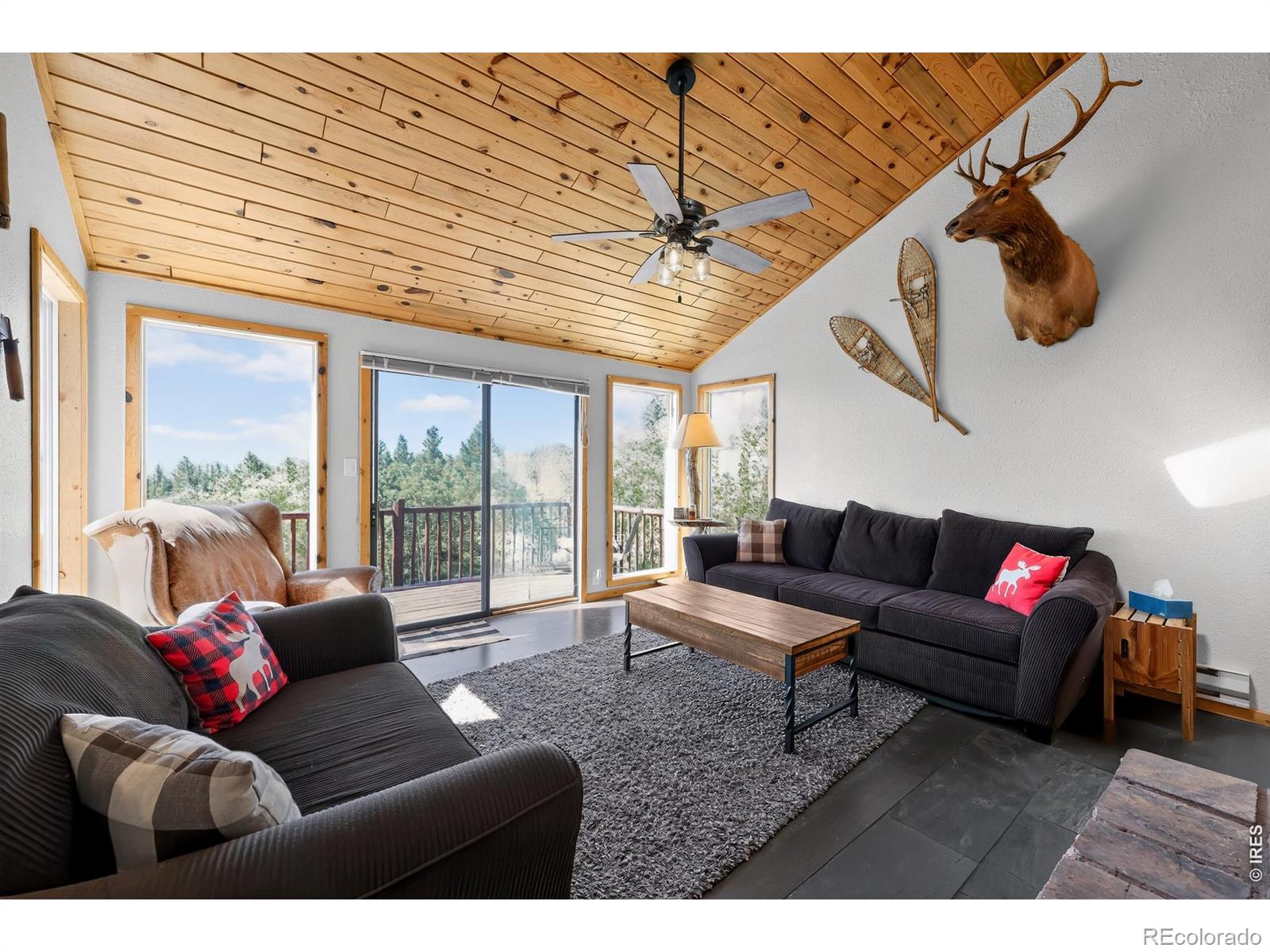 MLS Image #7 for 168  spokane court,red feather lakes, Colorado