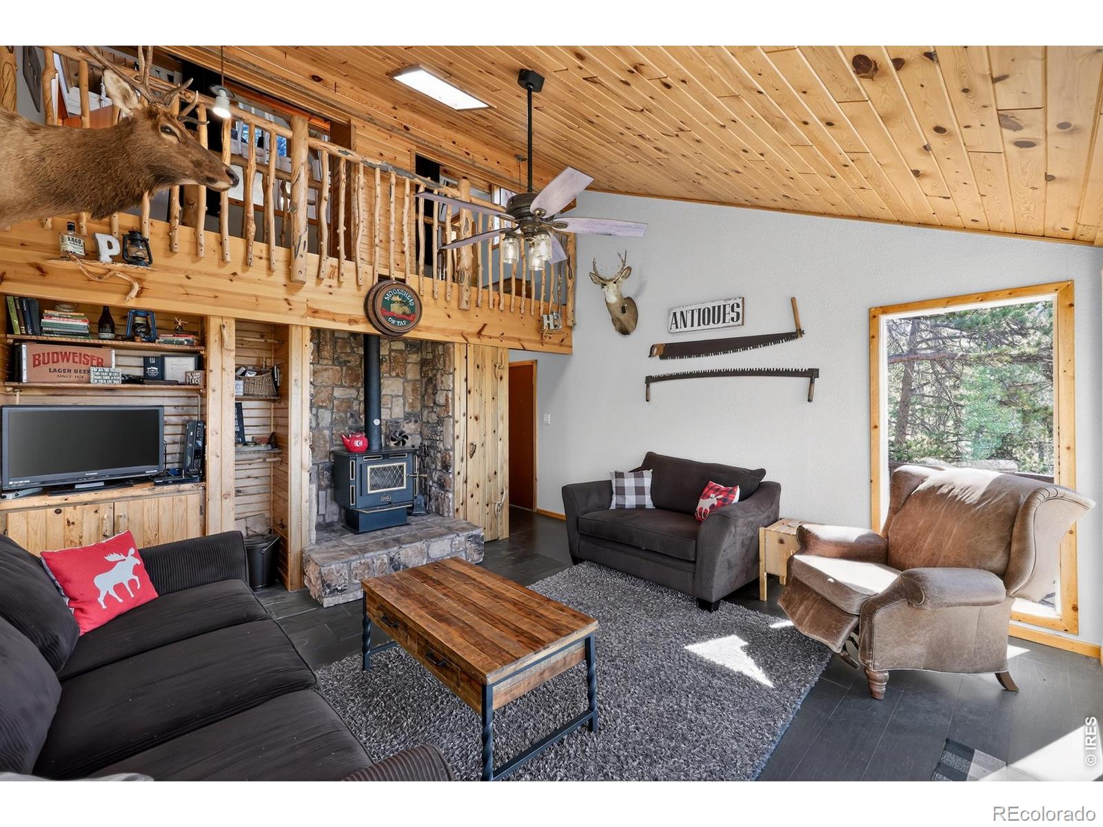 MLS Image #8 for 168  spokane court,red feather lakes, Colorado