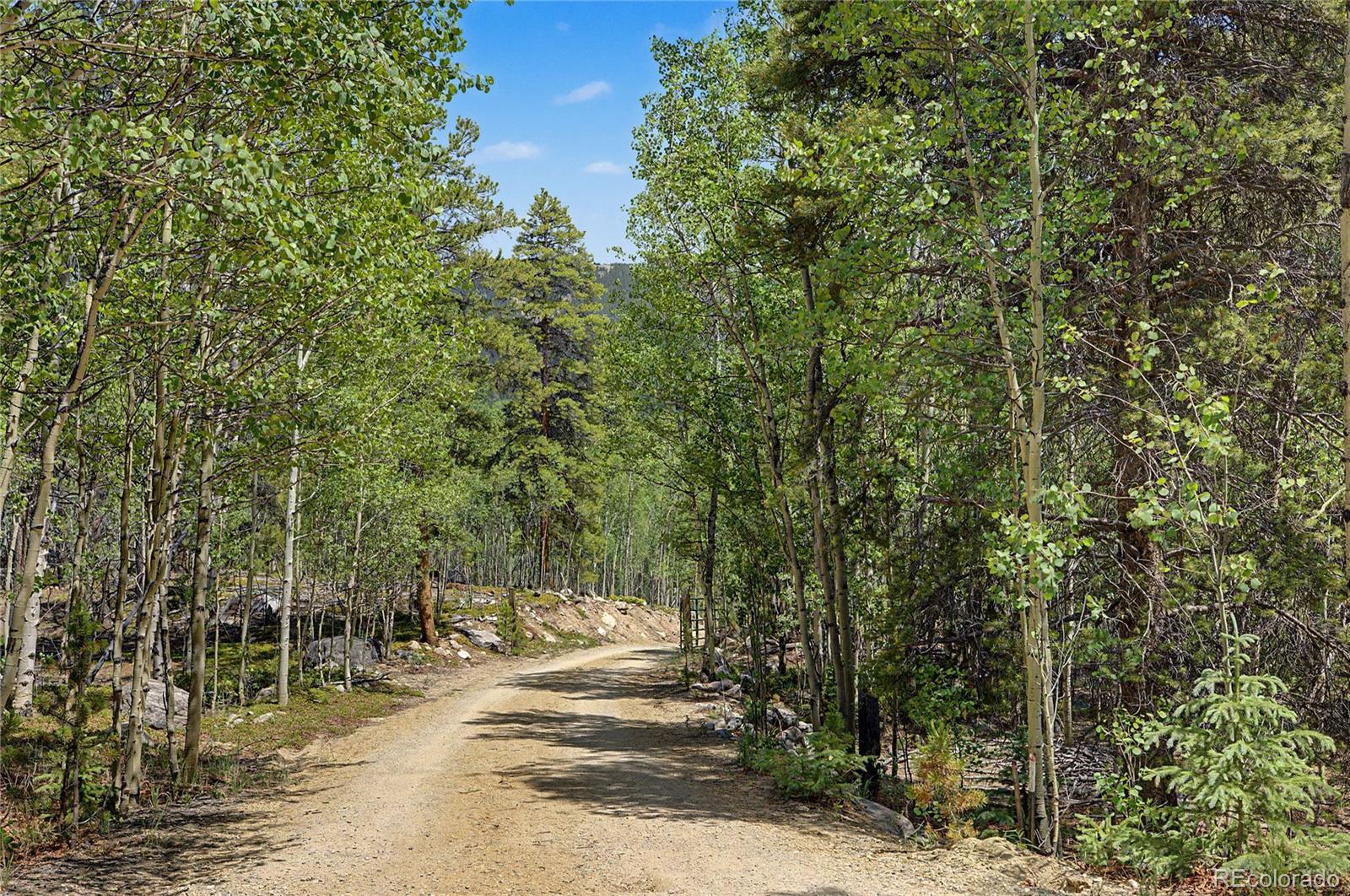 MLS Image #27 for 2602  empire valley drive,leadville, Colorado