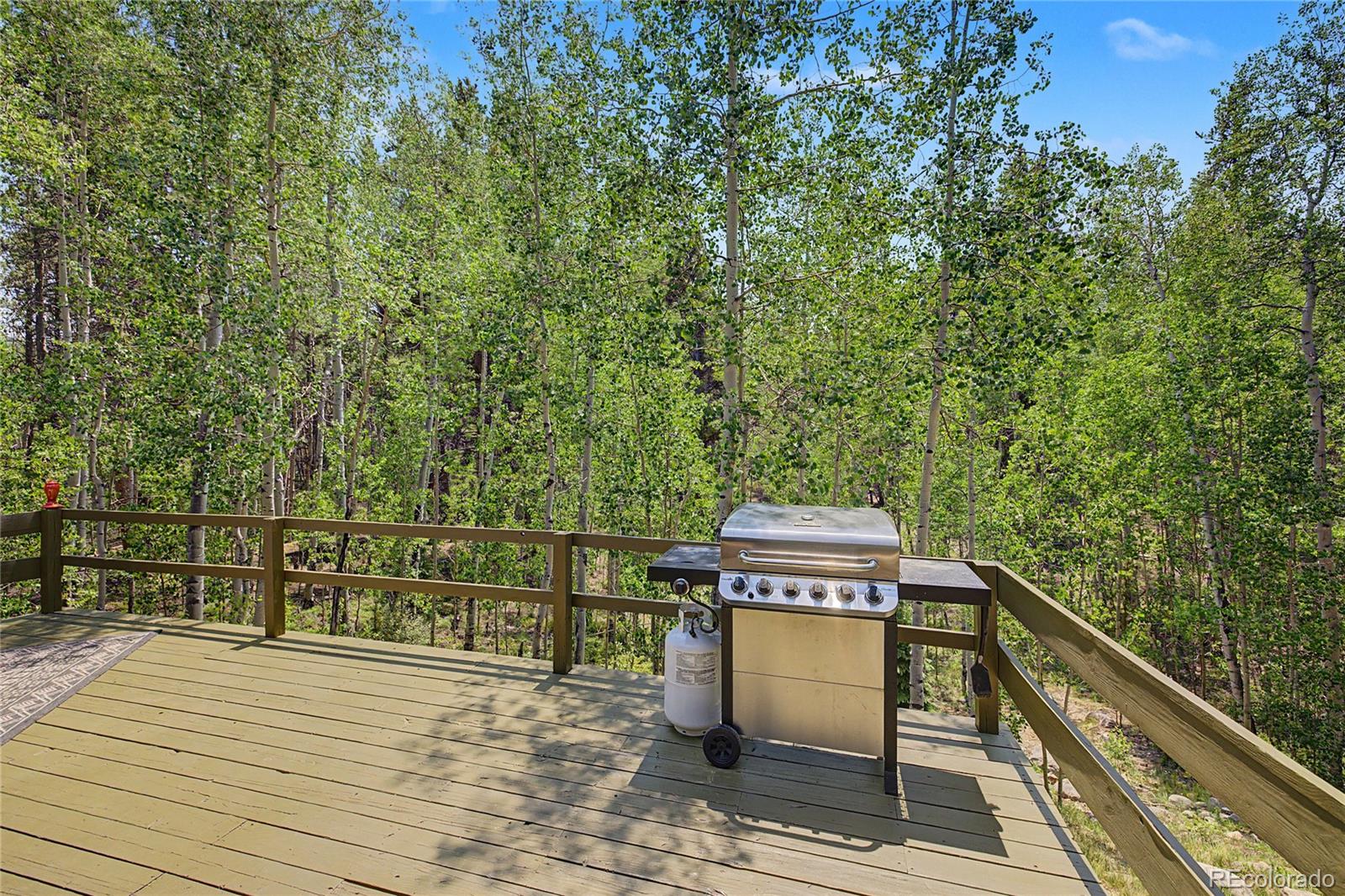 MLS Image #28 for 2602  empire valley drive,leadville, Colorado