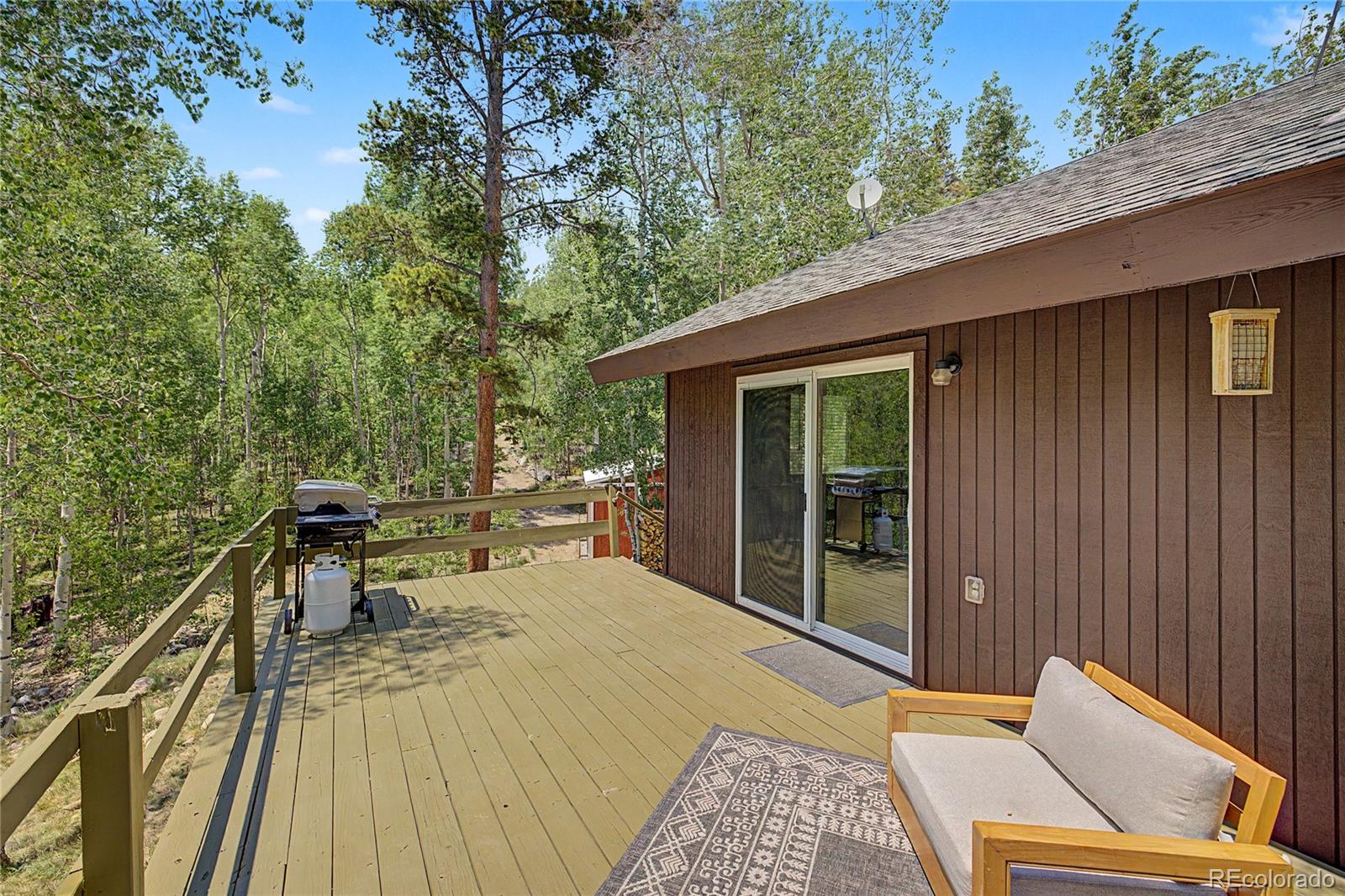 MLS Image #29 for 2602  empire valley drive,leadville, Colorado