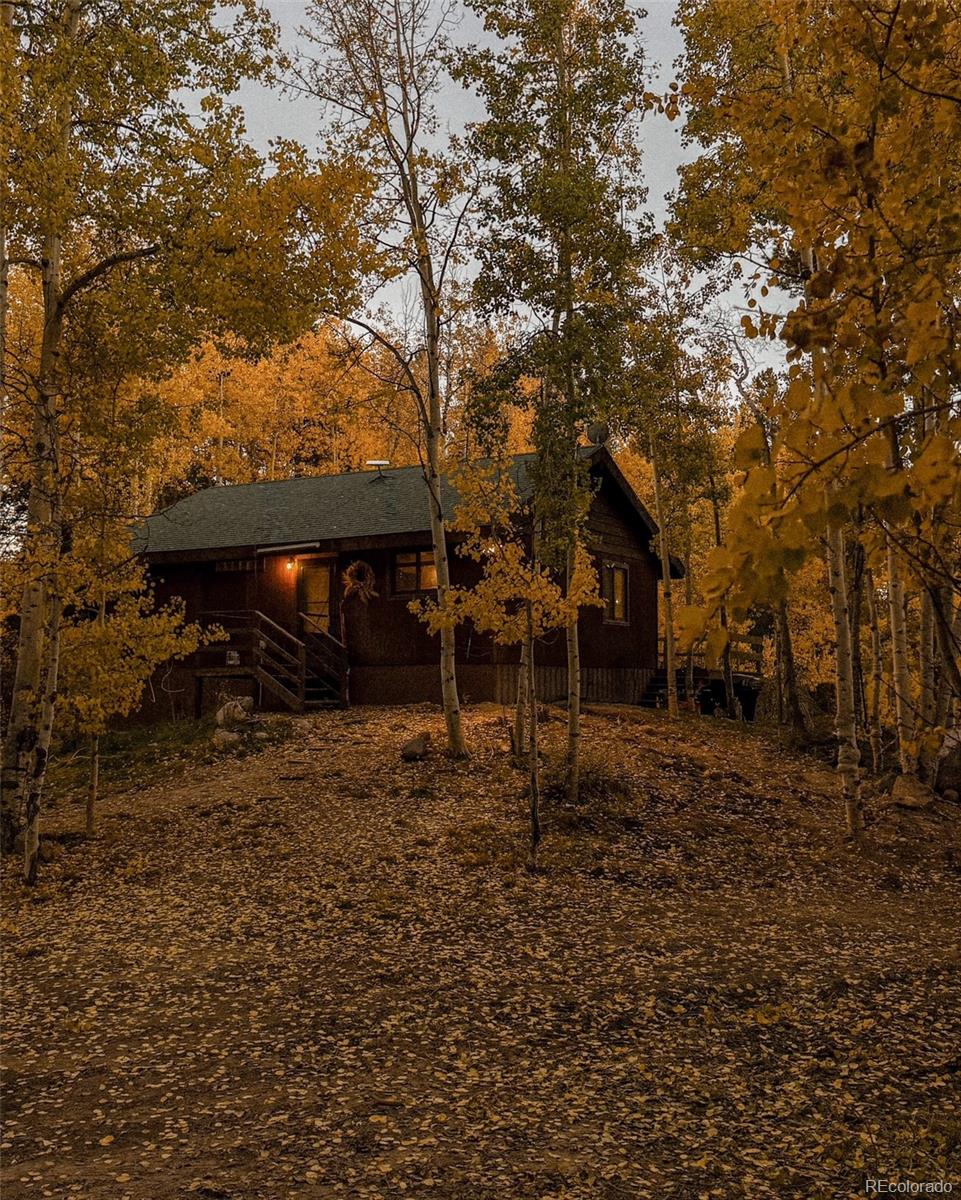 MLS Image #38 for 2602  empire valley drive,leadville, Colorado