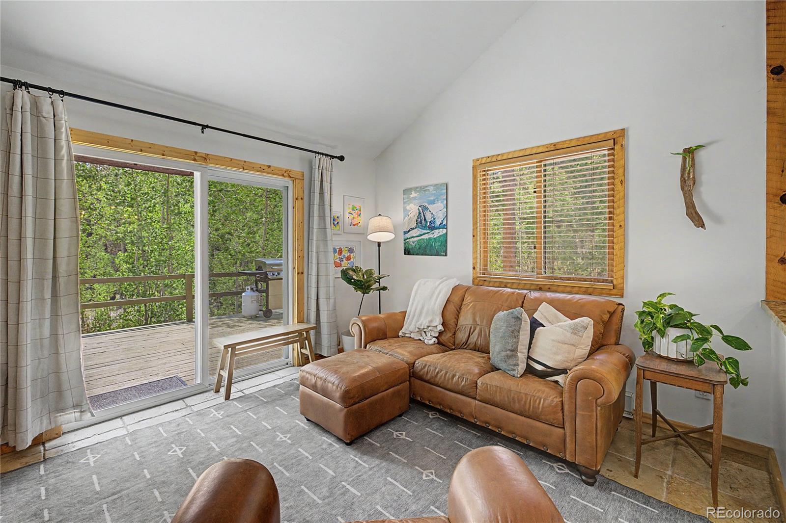 MLS Image #6 for 2602  empire valley drive,leadville, Colorado