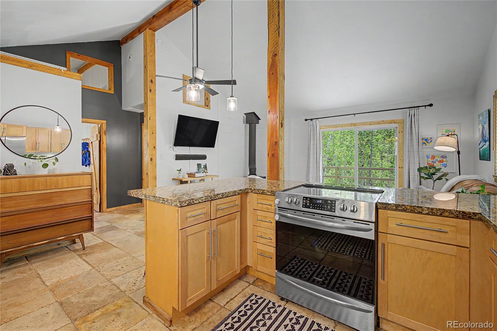 MLS Image #9 for 2602  empire valley drive,leadville, Colorado