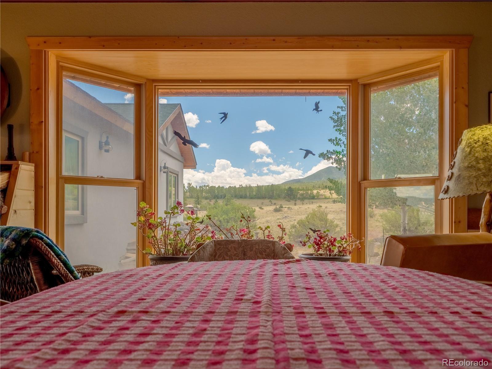 MLS Image #14 for 27045  county road 342 ,buena vista, Colorado